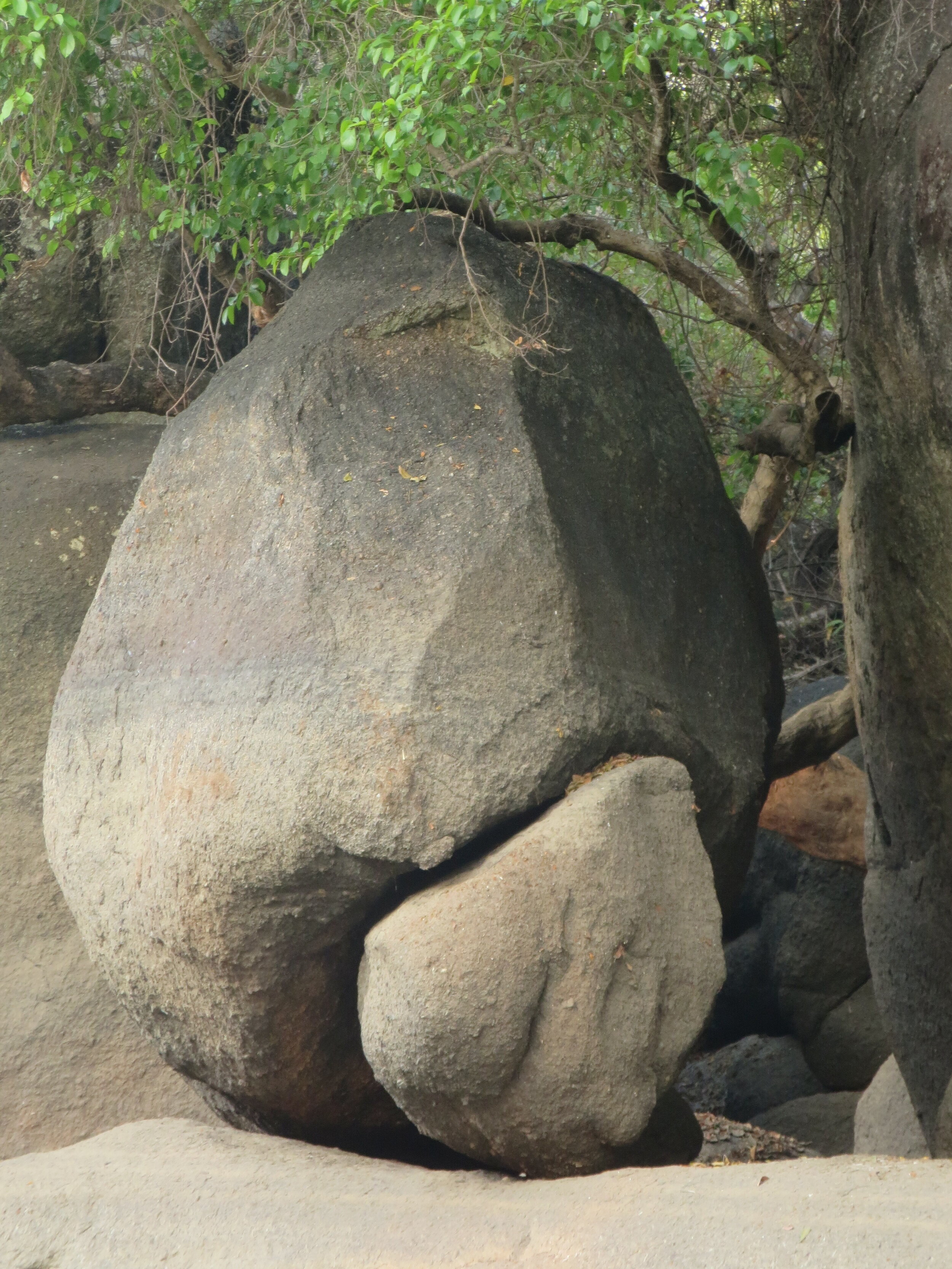 Morning Meditation Sit