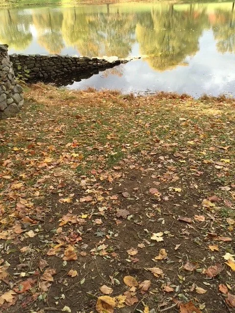 Morning Meditation Sit - Chayei Sarah 