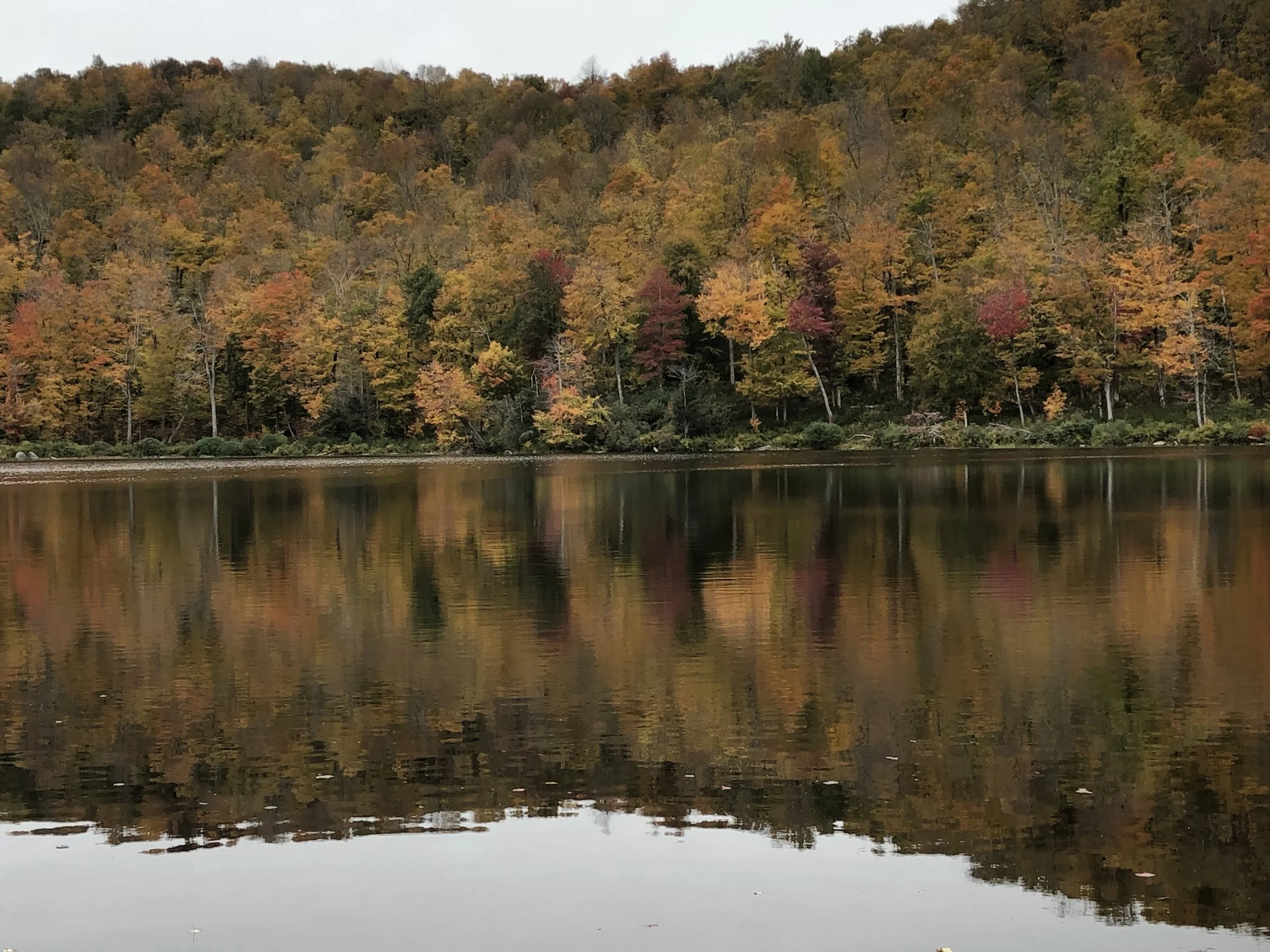 Morning Meditation Sit  - Ya'acov Wrestling