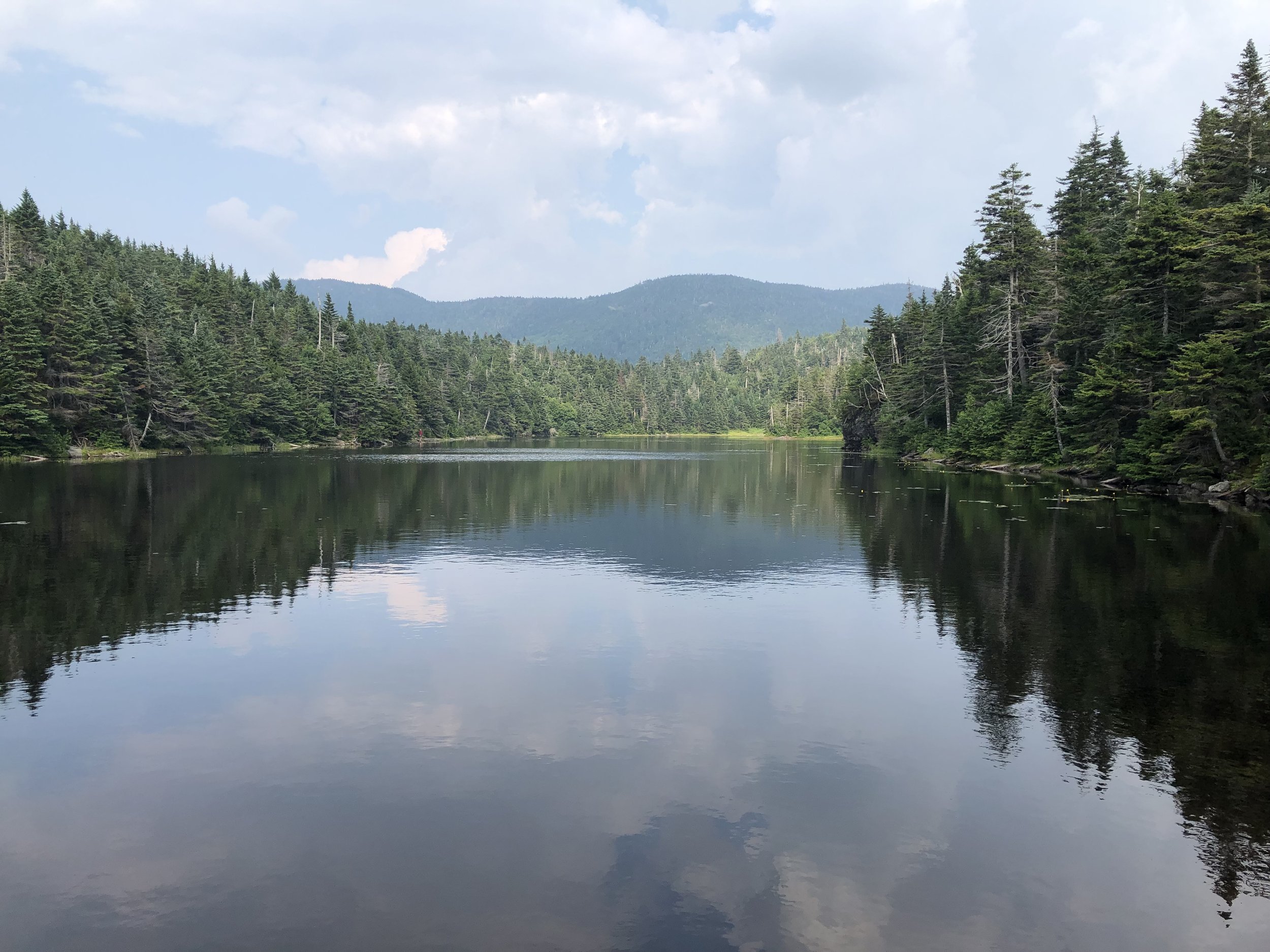 Morning Meditation Sit  - Thanksgiving 