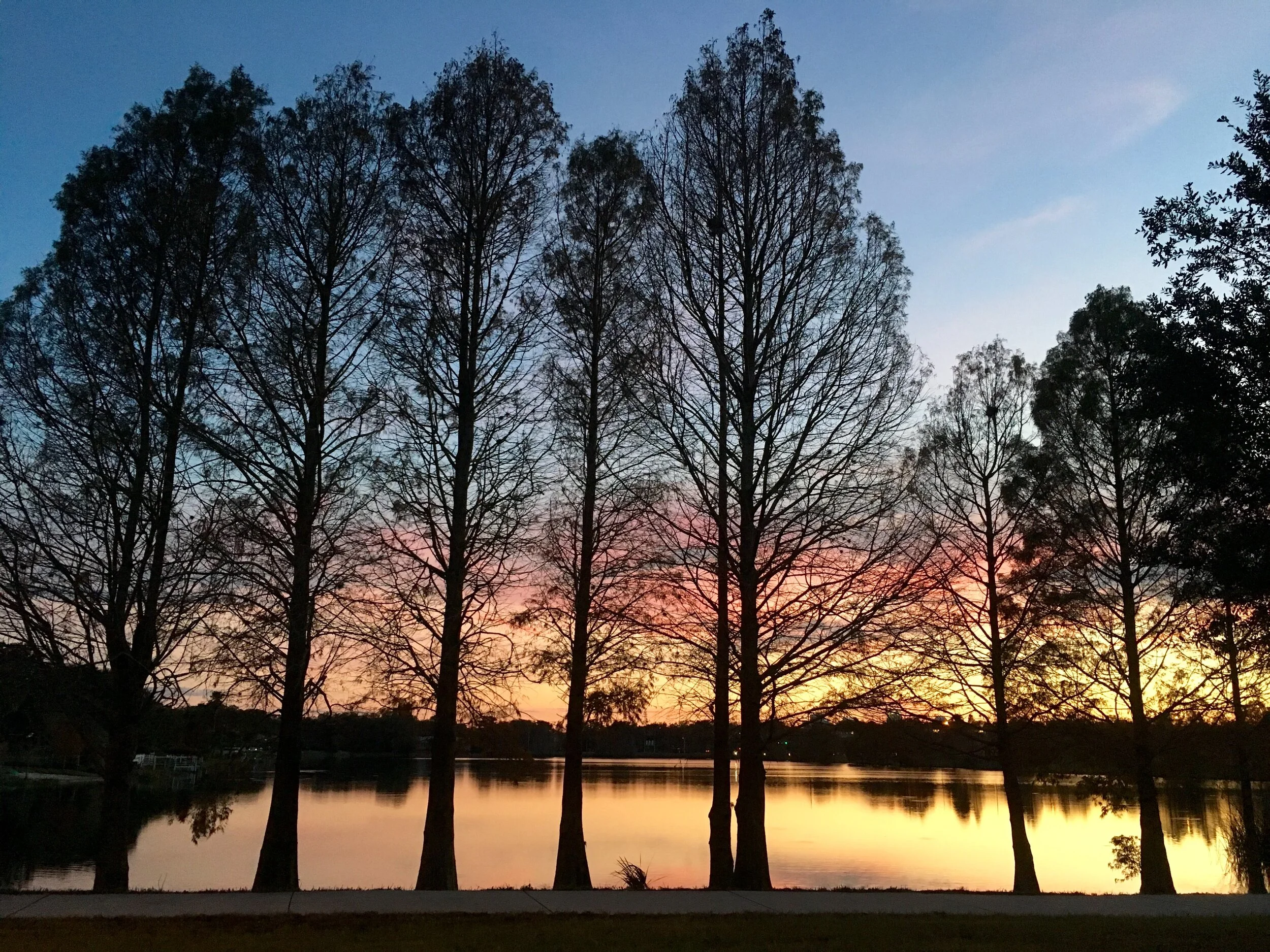 Torah Study: Miketz Chanukah