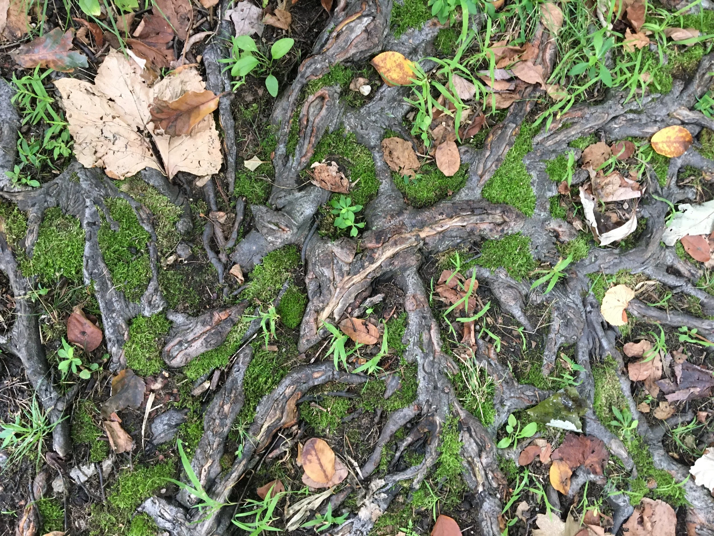 Morning Meditation Sit  - Vayehi