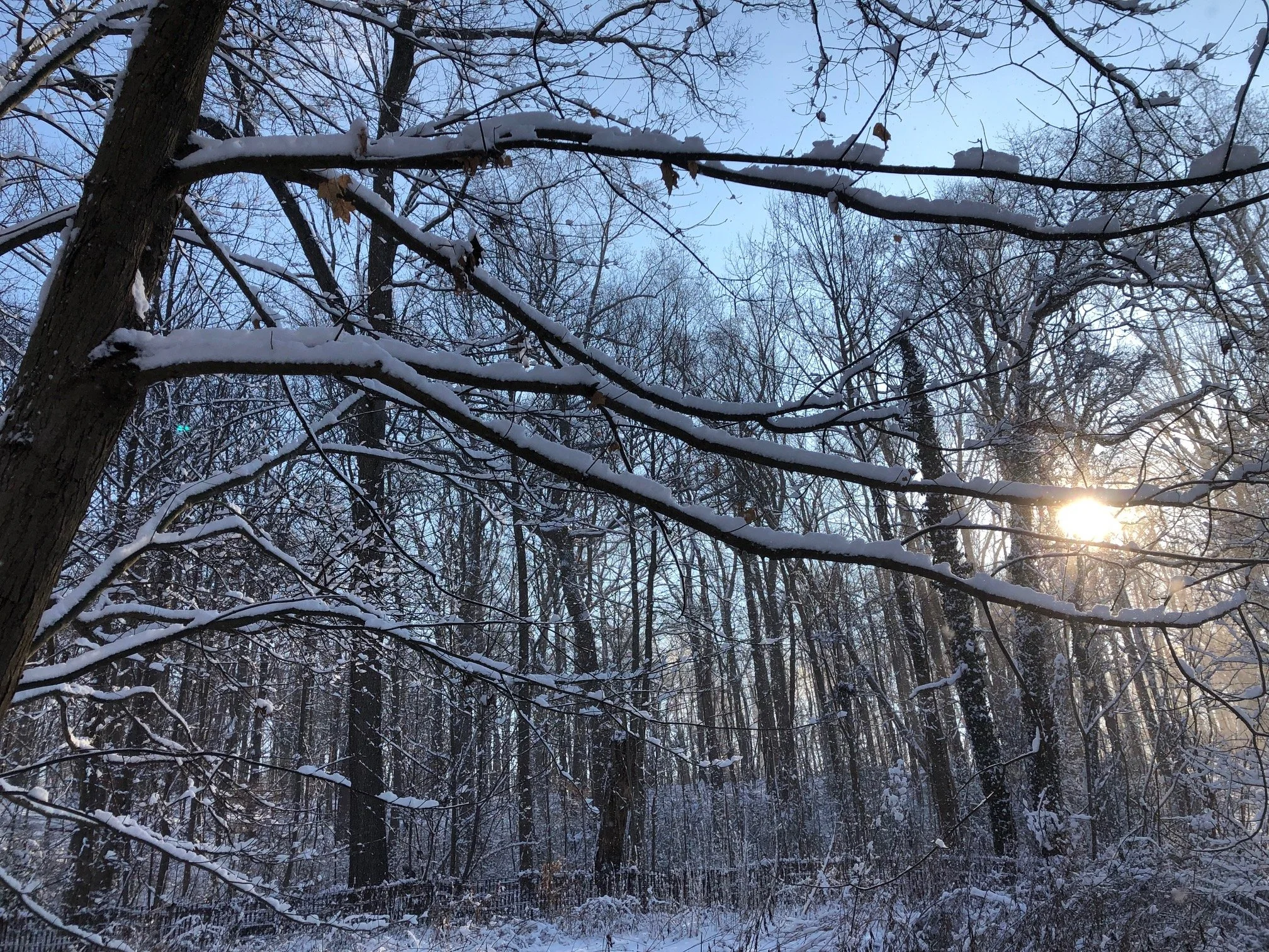 Morning Meditation Sit: Beshallach