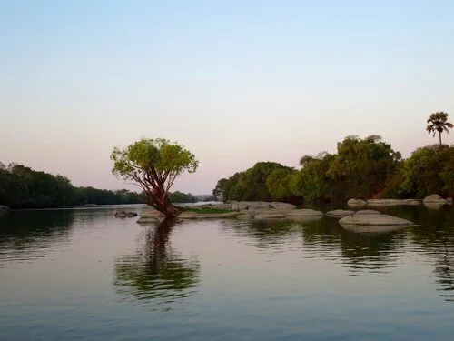 Morning Meditation Sit: Vayakhel 