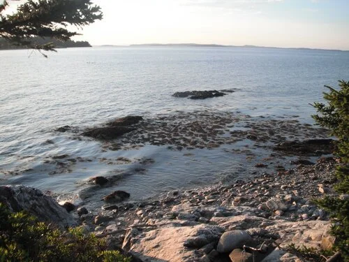 Torah Study: Parshat Kedoshim with Kohenet Shoshana Bricklin