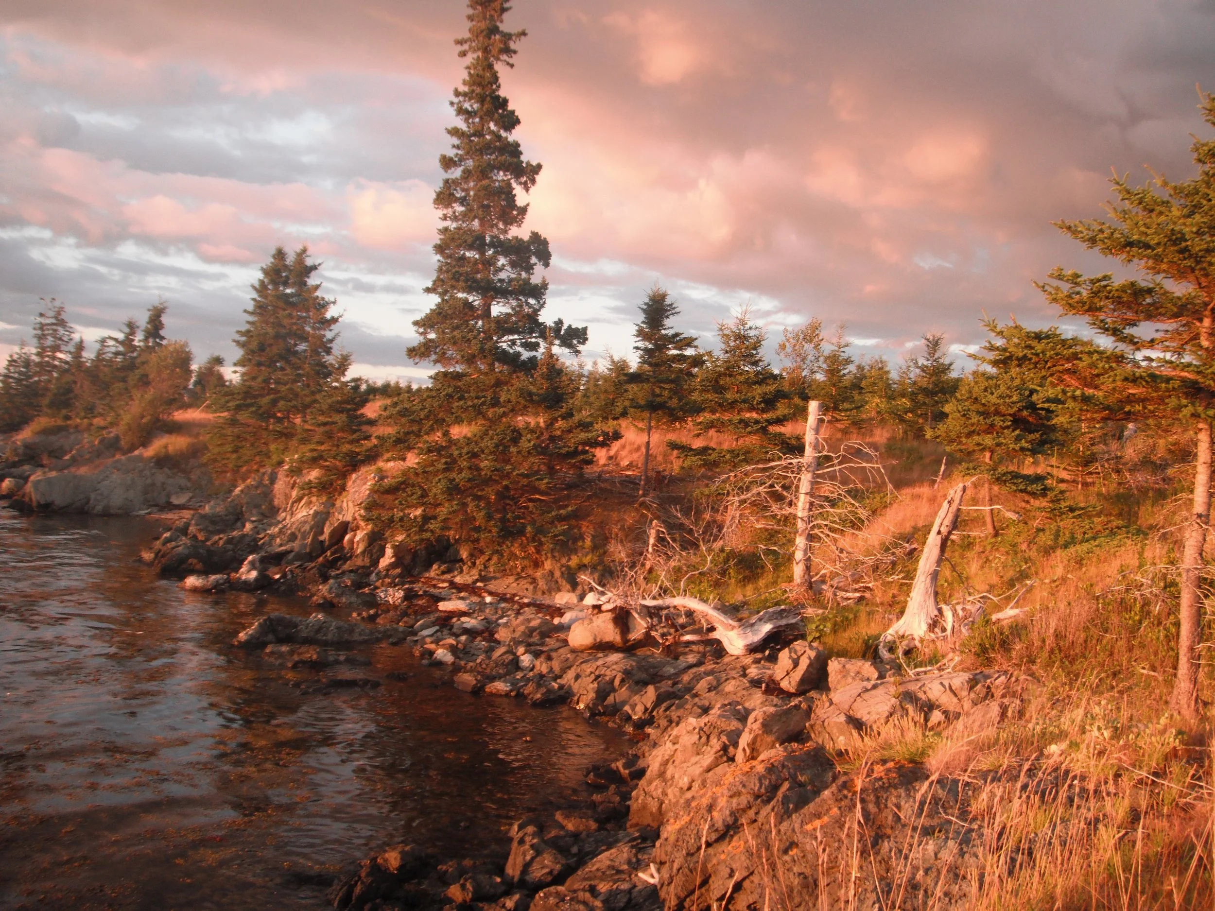 Morning Meditation Sit: Lag b'Omer