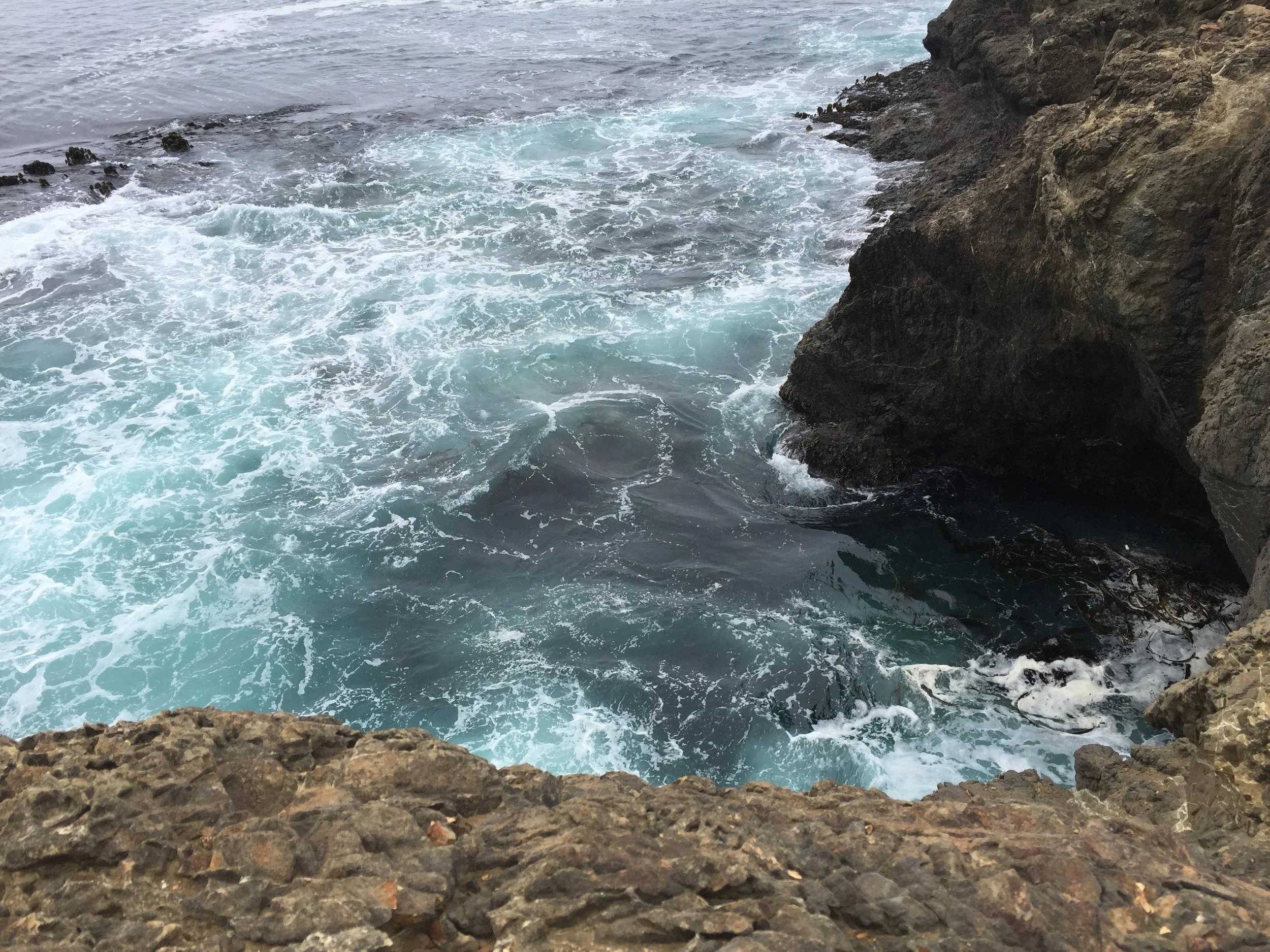 Morning Meditation Sit: Connection and Love