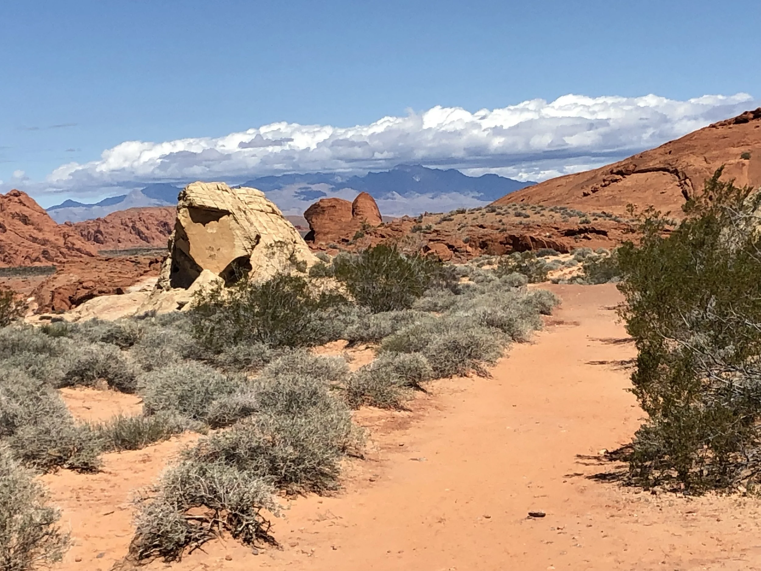 Morning Meditation Sit: On the Other Side of the Mountain 