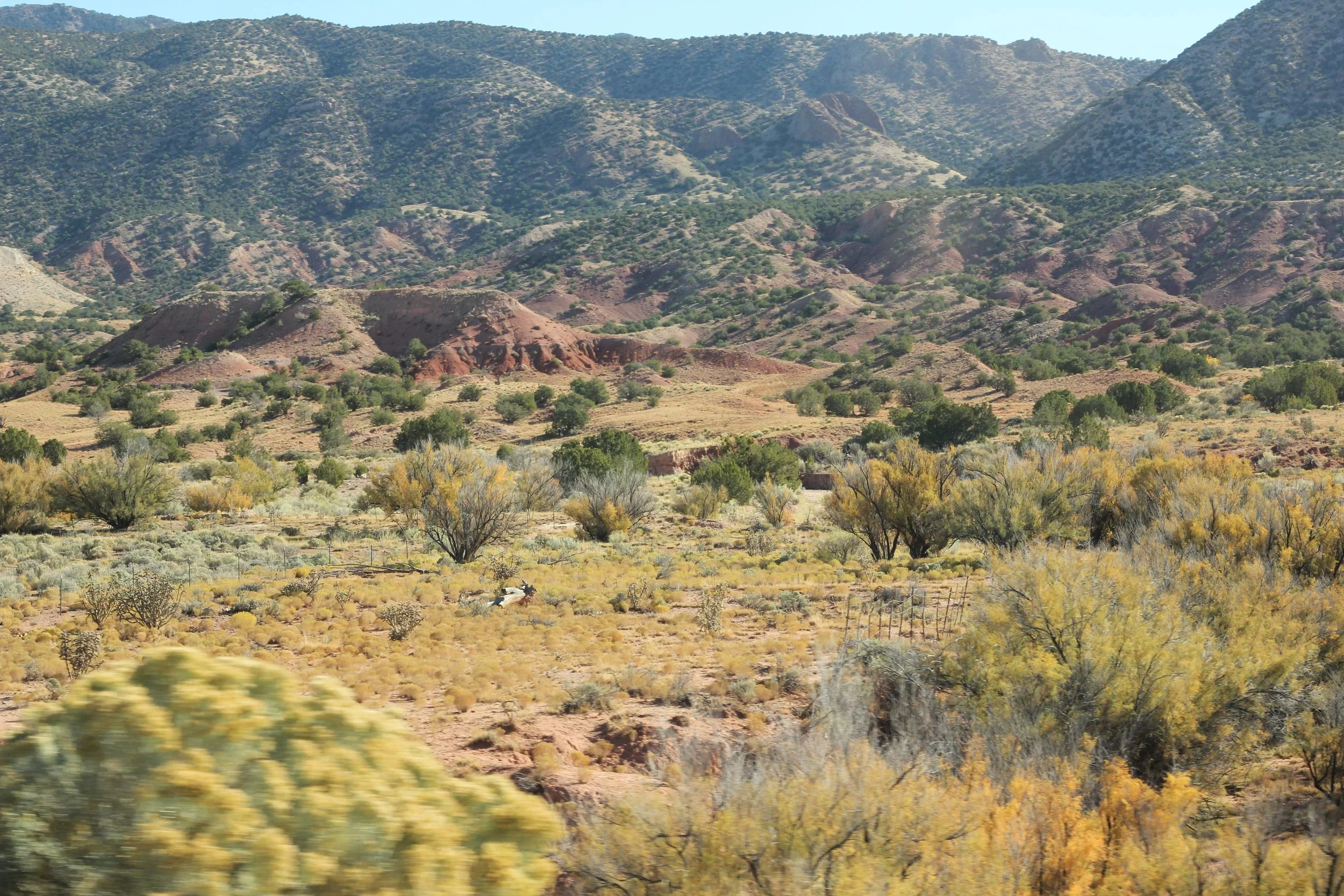 Morning Meditation Sit