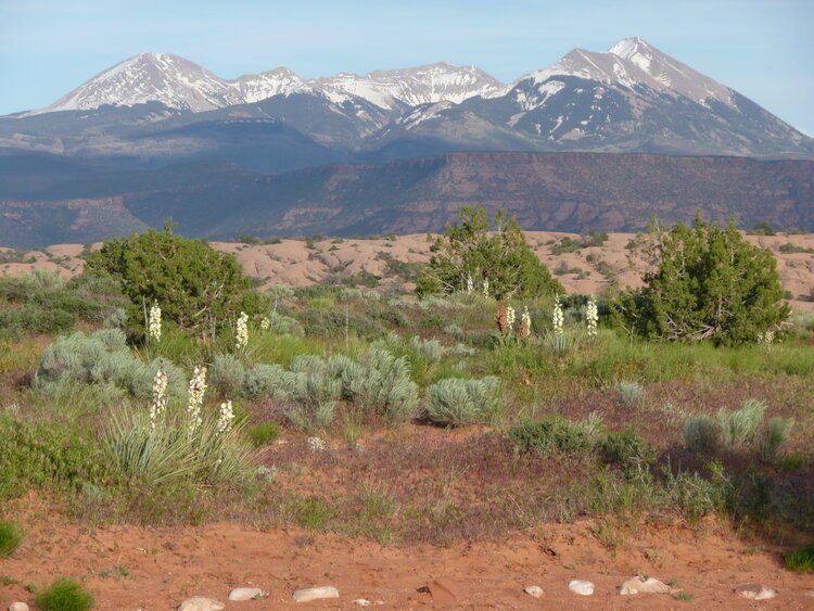 Torah Study - Parshat Ki Tavo