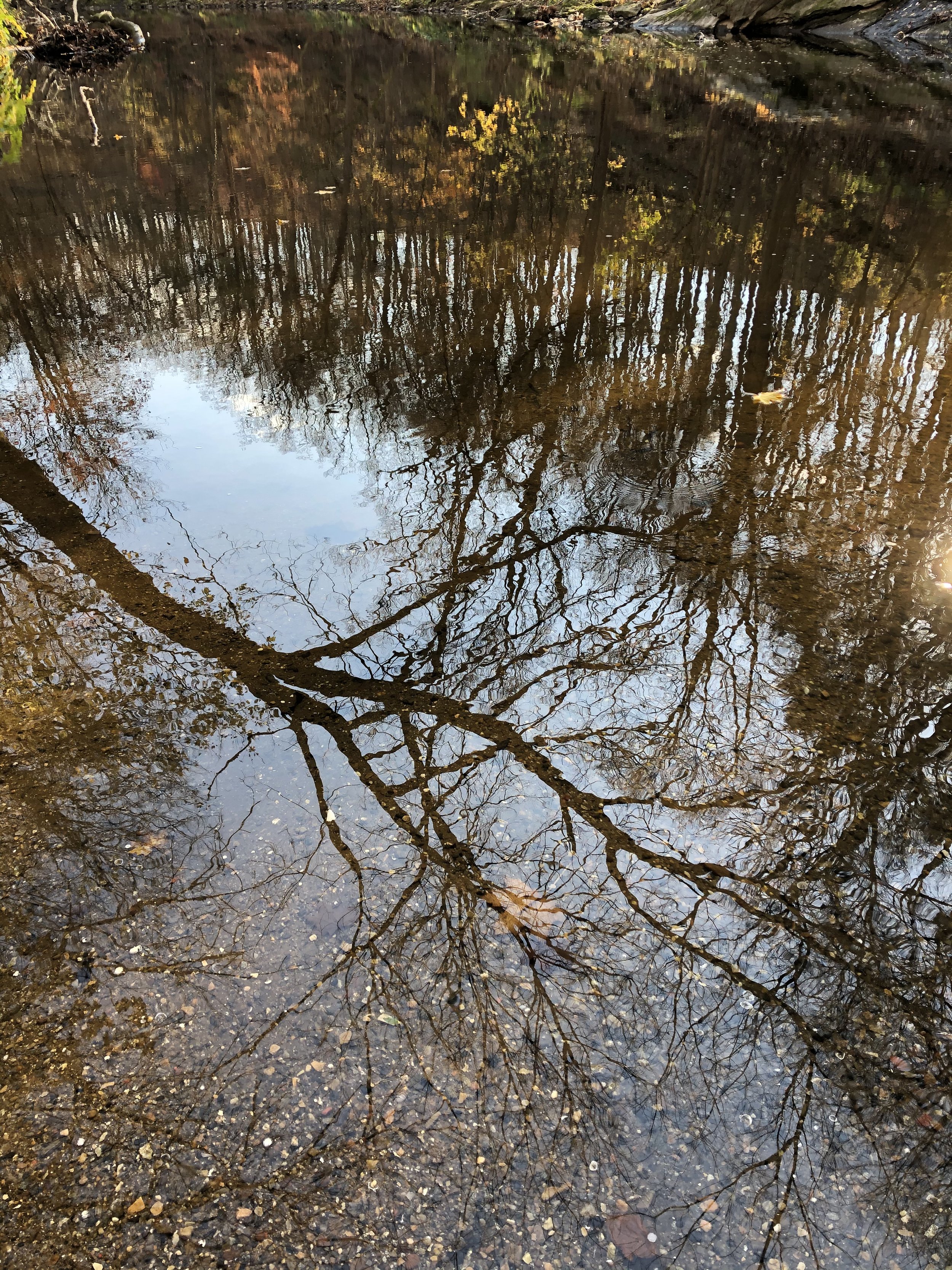 Morning Meditation Sit  