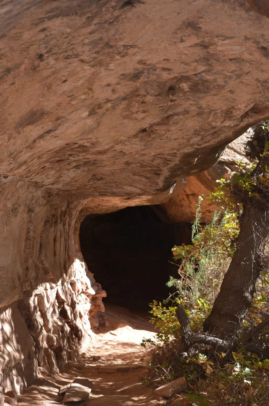 Morning Meditation Sit    