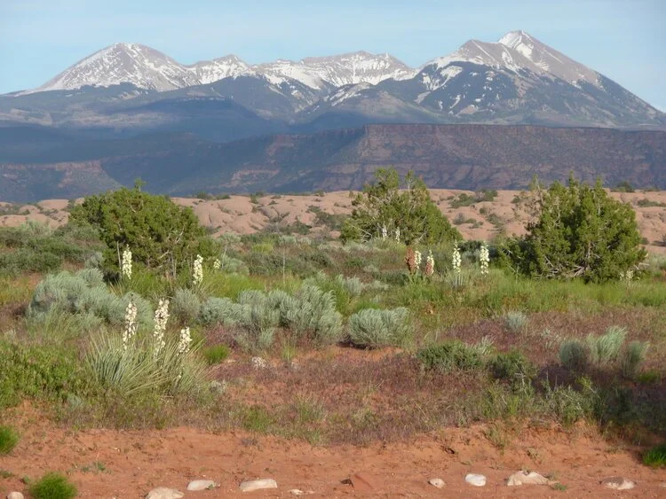 Morning Meditation Sit: Hineini 