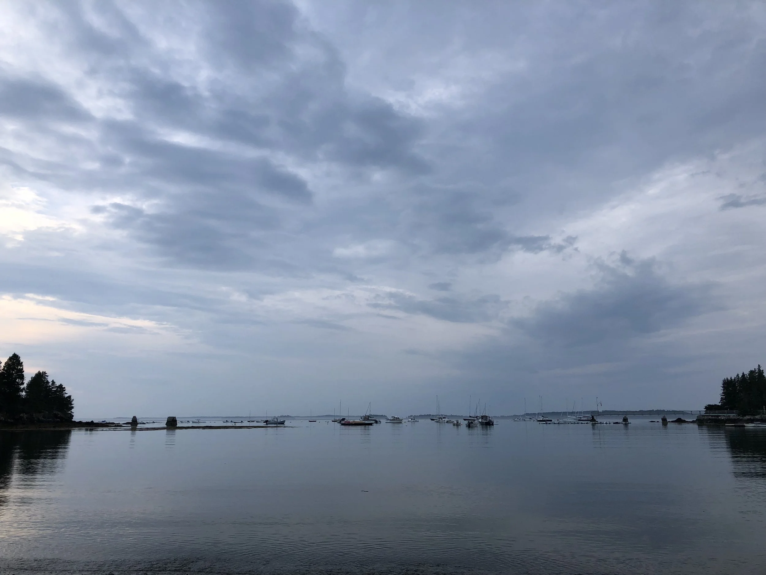 Morning Meditation Sit  