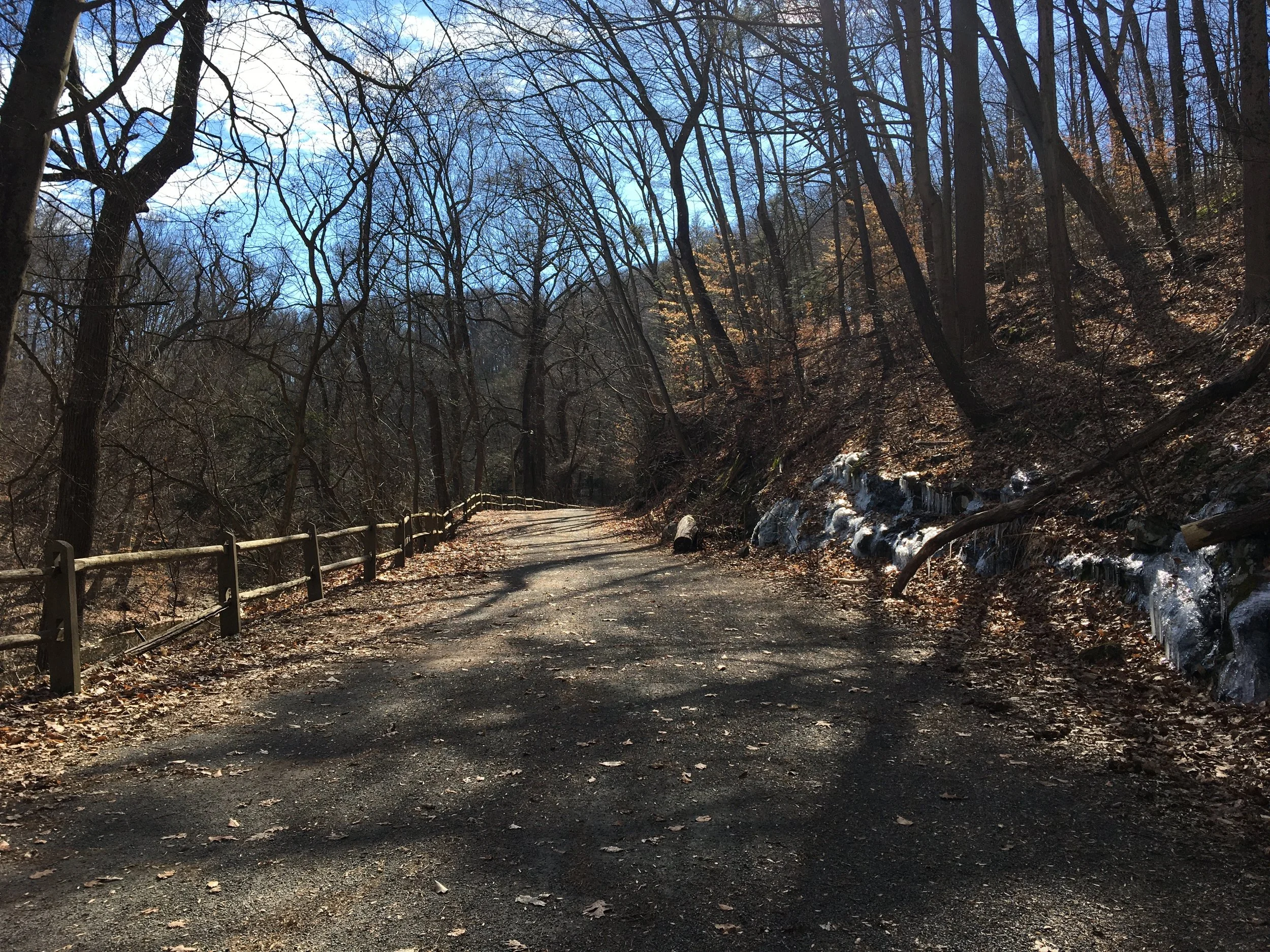 Morning Meditation Sit: Tetzaveh