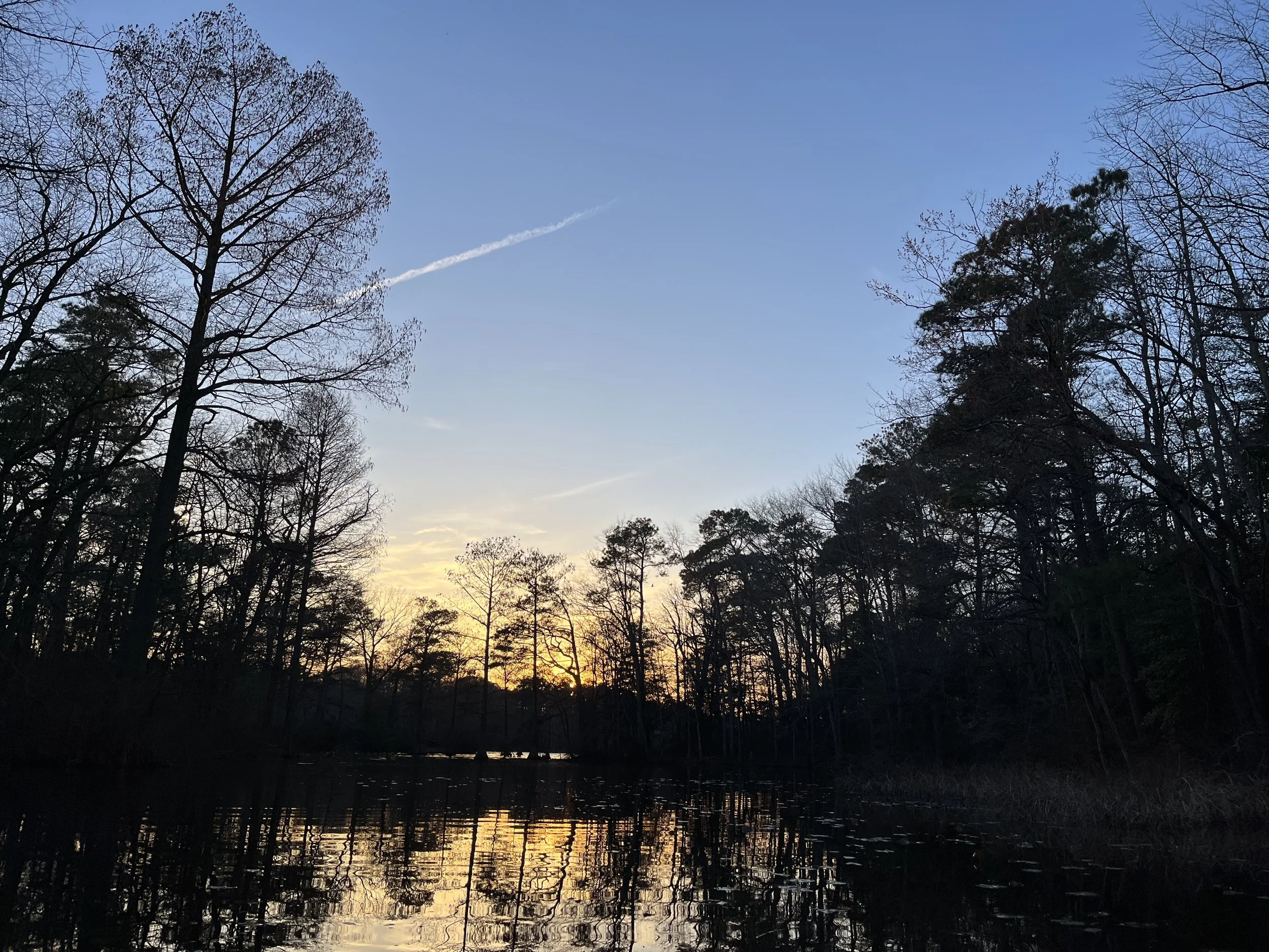Rosh Chodesh Nisan: A New Season Begins 