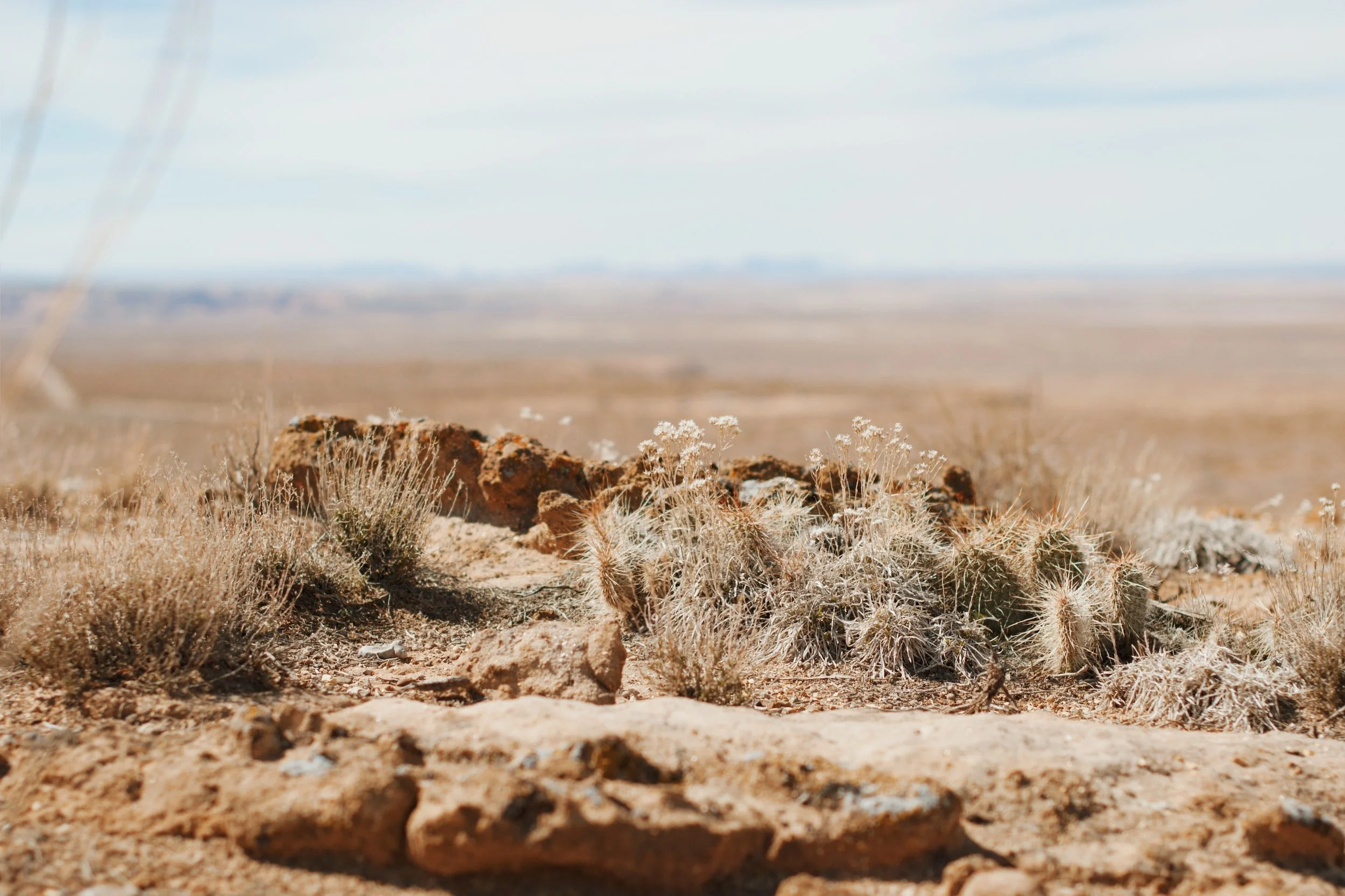 unsplash-image-sQWr0Dqzg8M.jpg