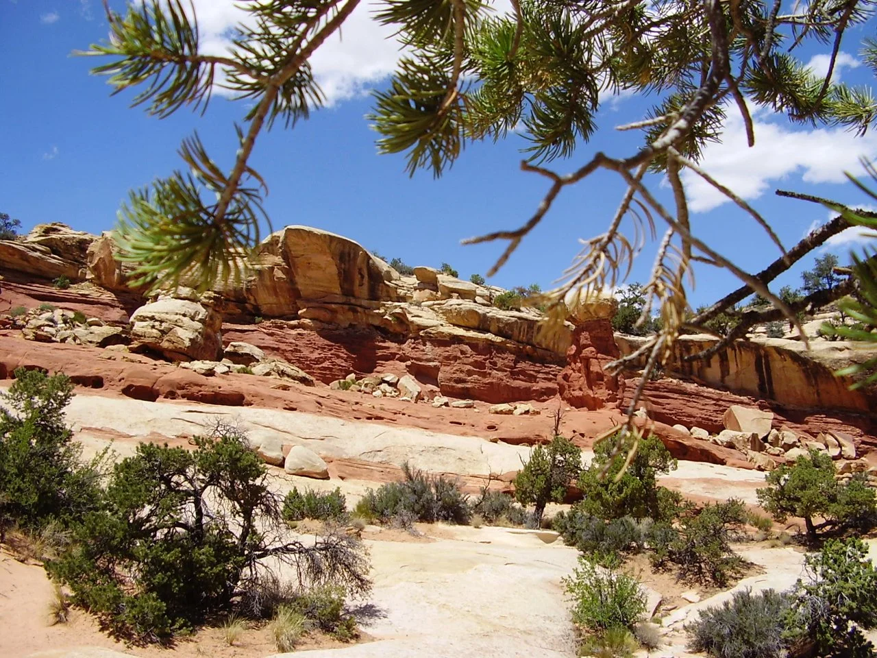 Morning Meditation Sit: End of Omer 