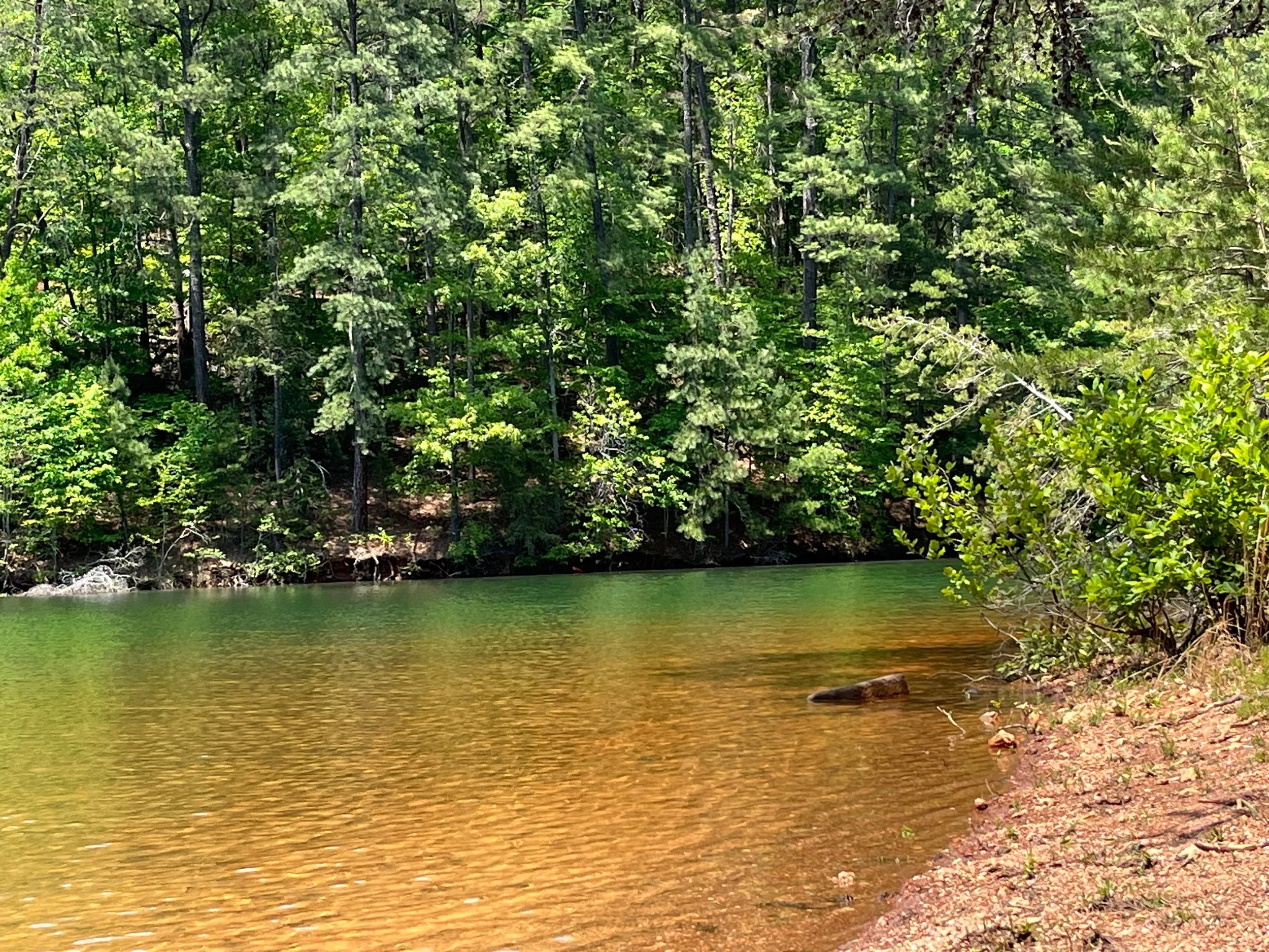Morning Meditation Sit