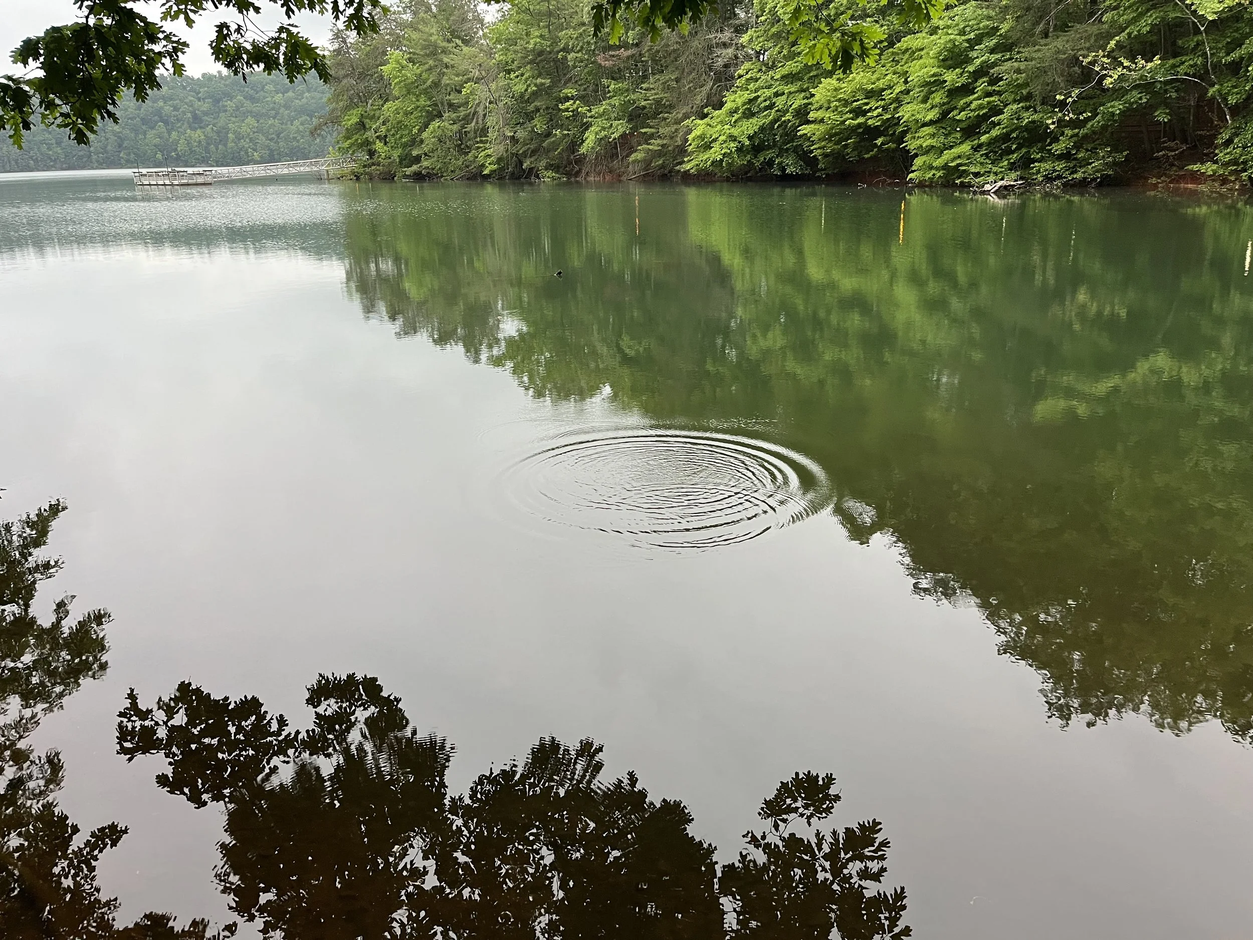 Morning Meditation Sit - Chukat