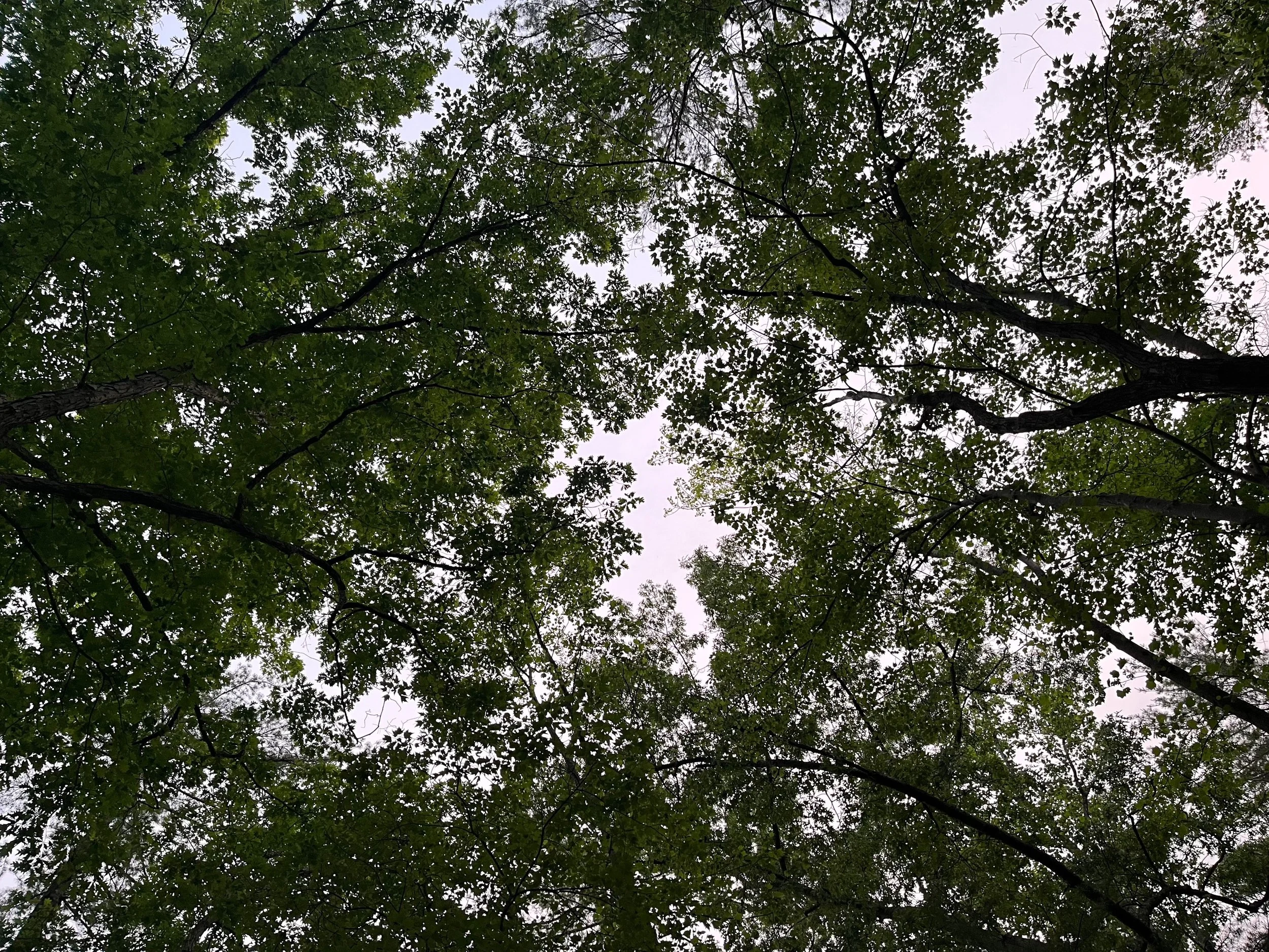 Praying with the News