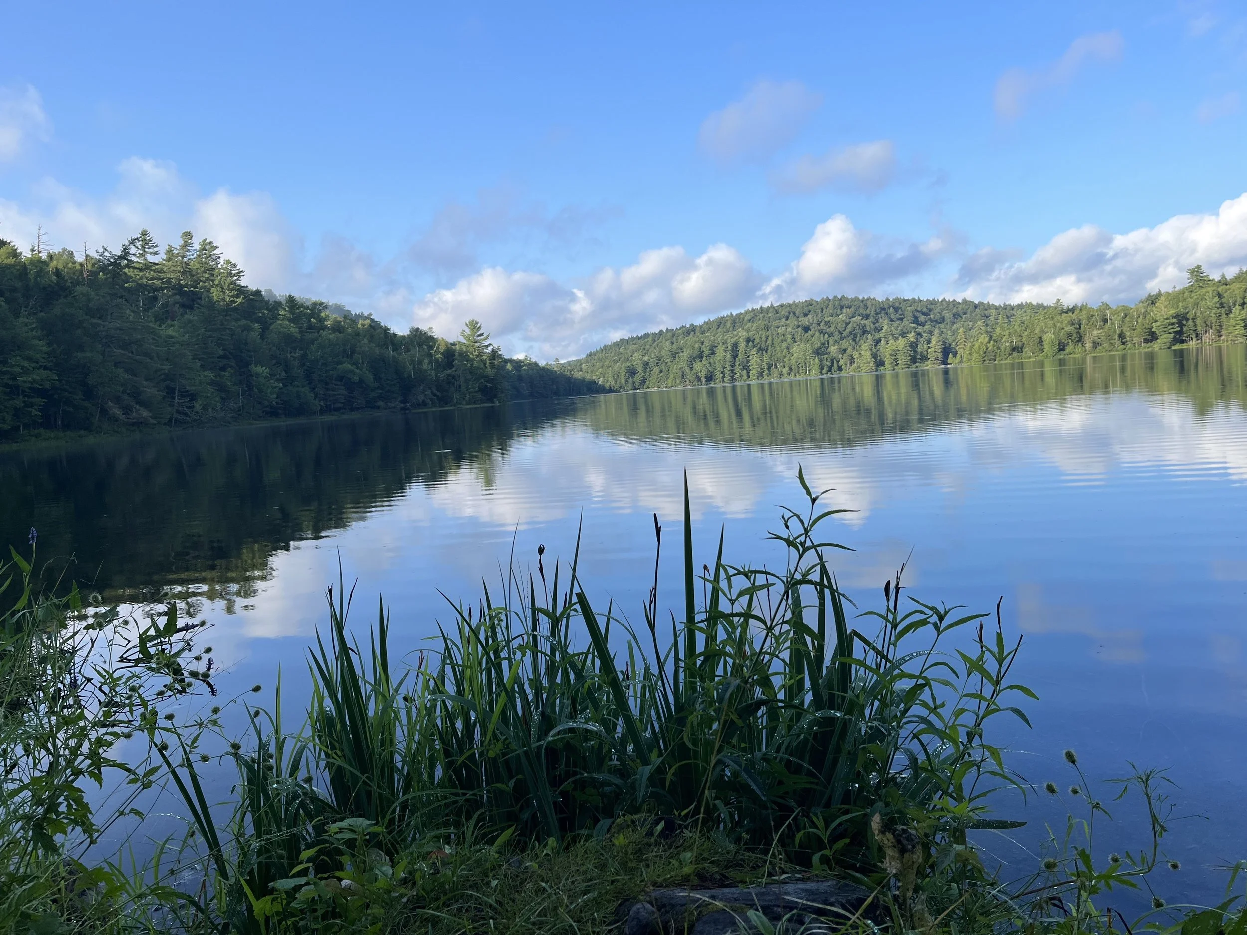 Morning Meditation Sit - Parshat Re'eh