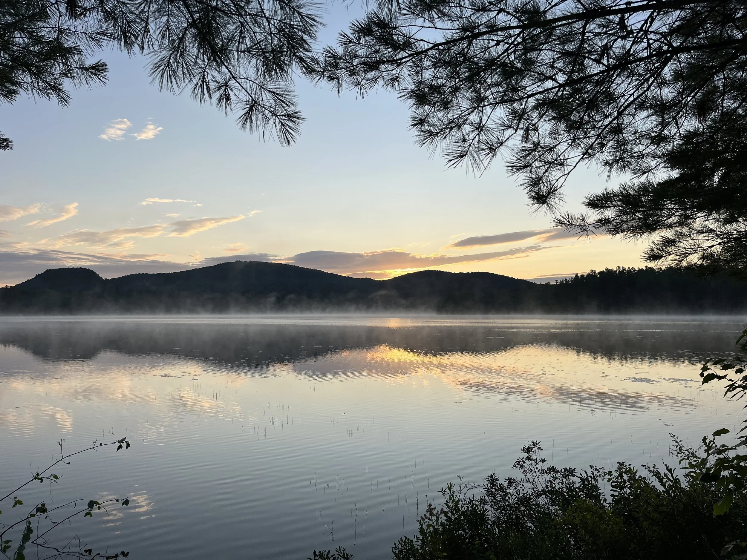 Morning Meditation Sit - Parshat Shofteim