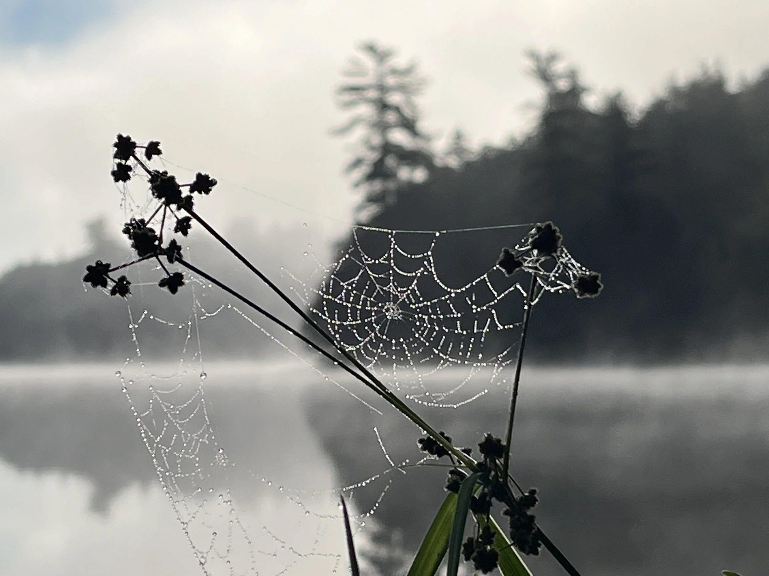 Morning Meditation Sit - Rosh Hashanah Archive 
