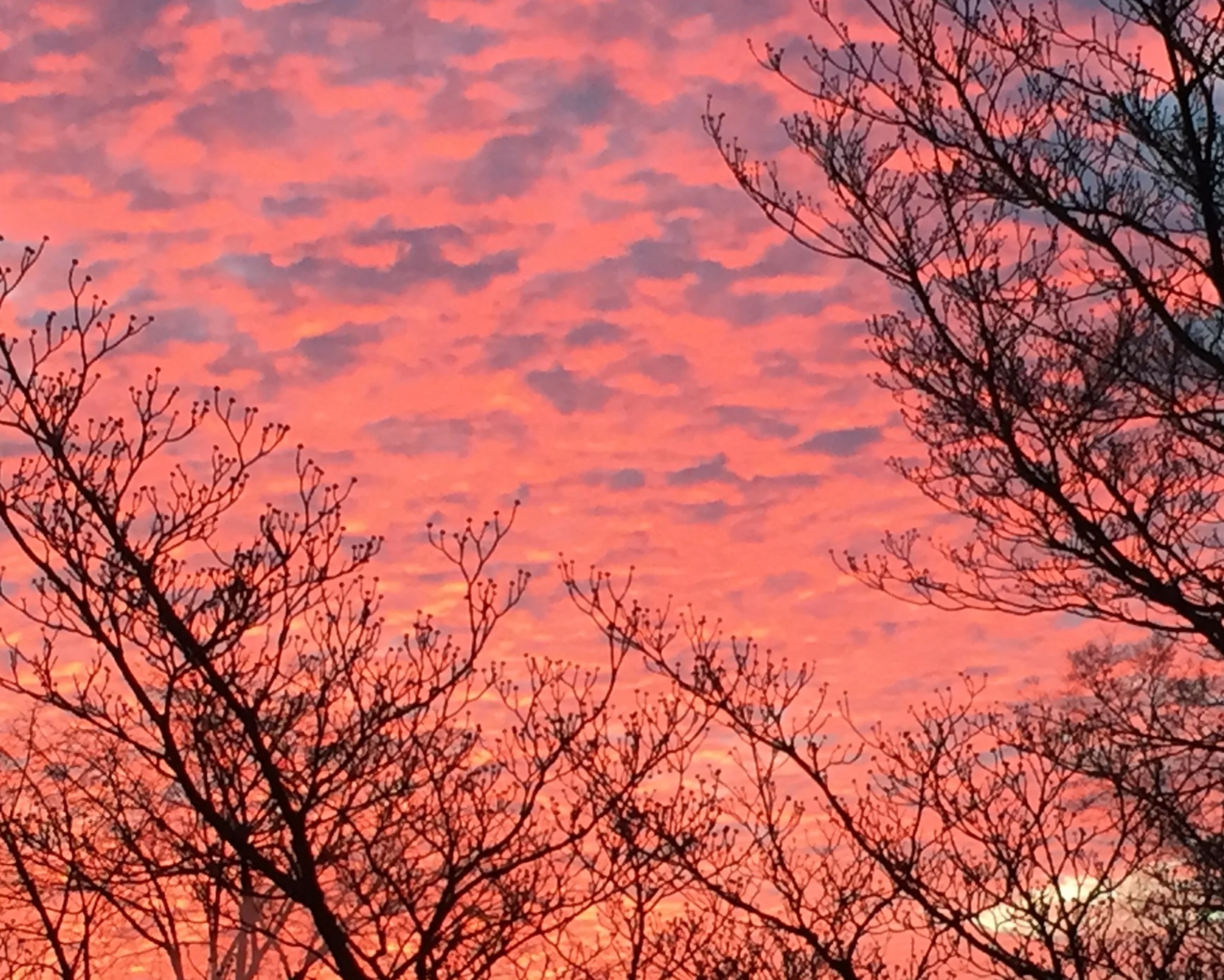 Morning Meditation Sit: Tzav