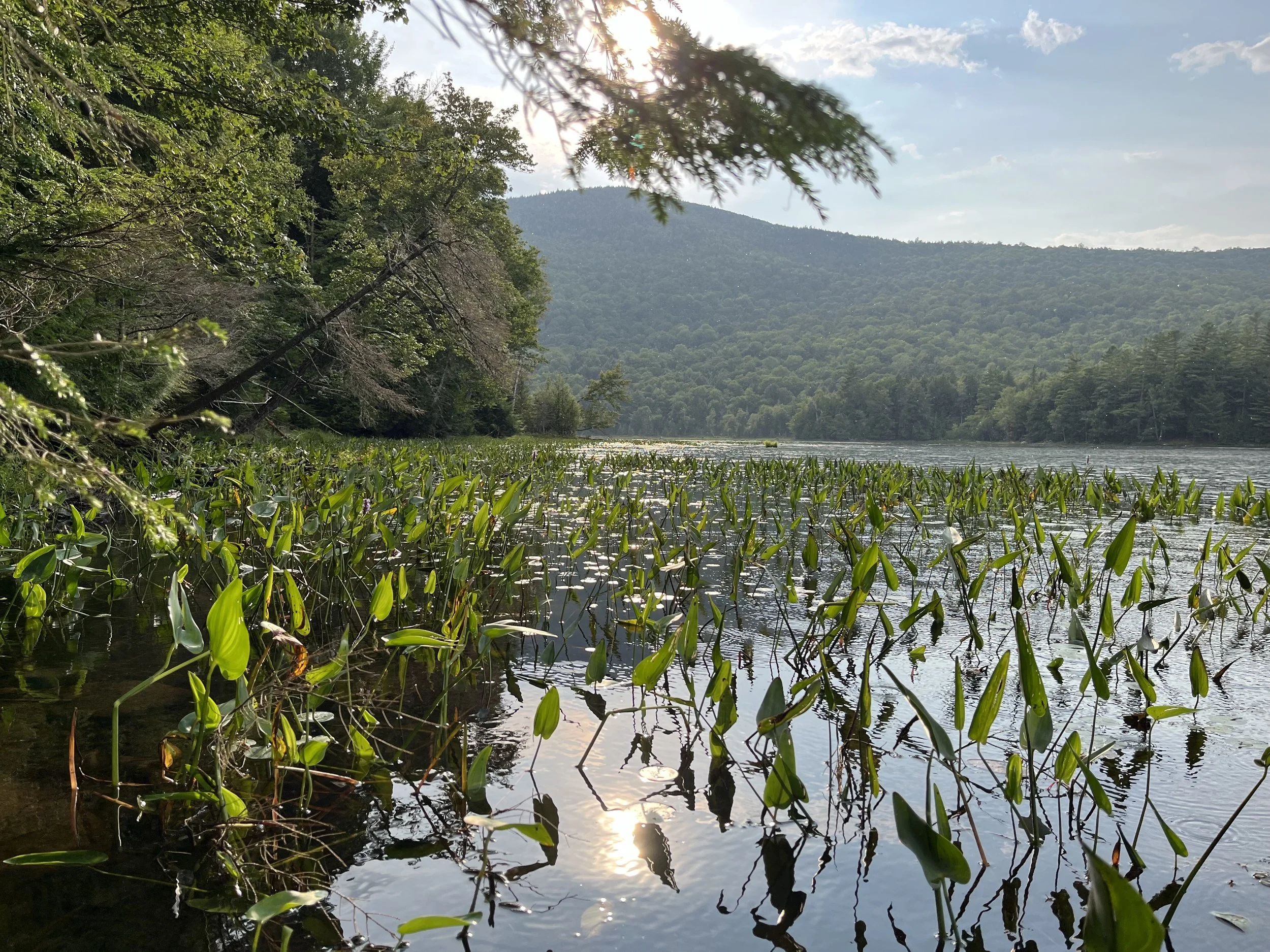 Parshat Ki Tetzei: The Journeys of Elul continue