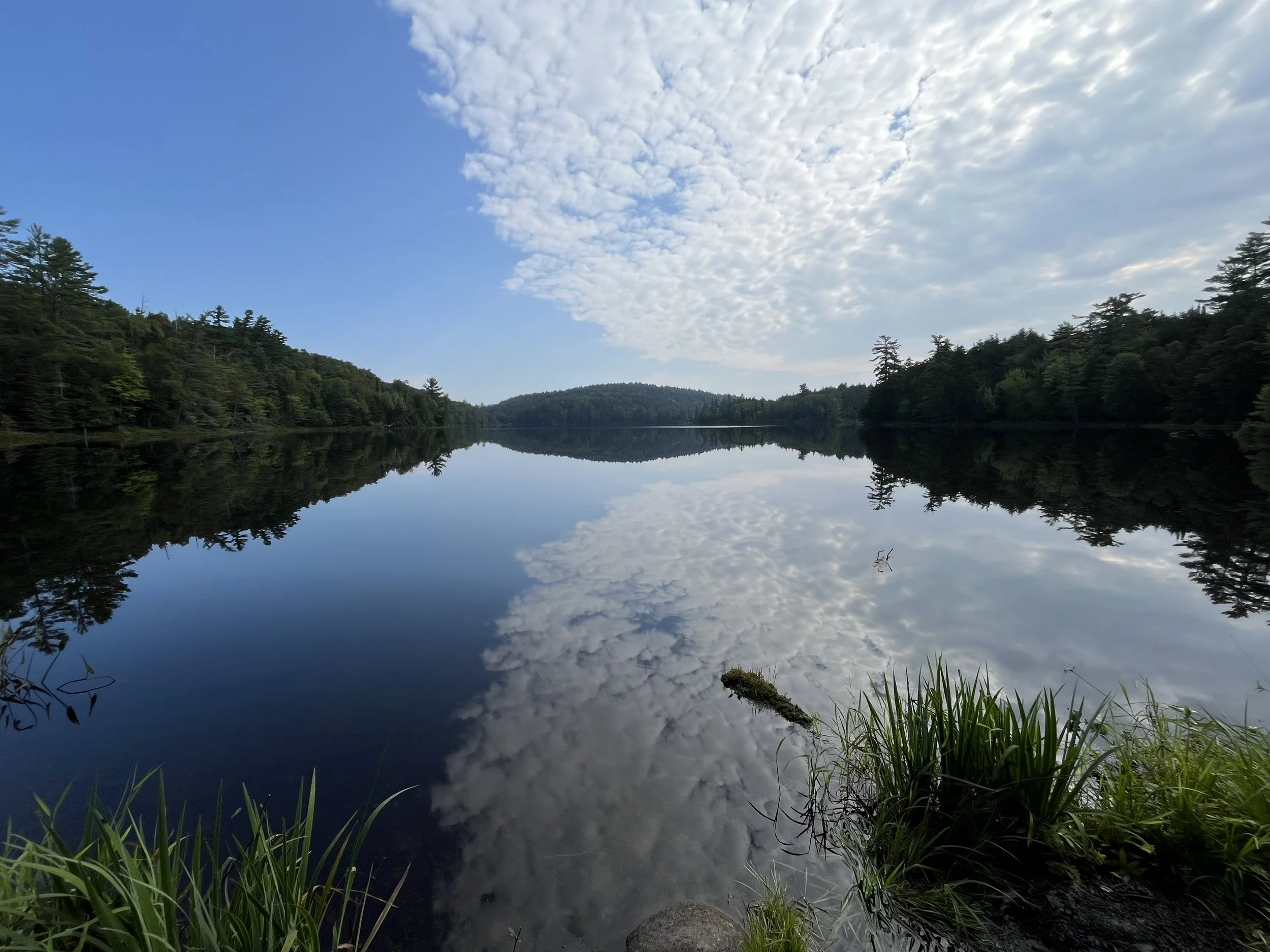 Morning Meditation Sit - Welcoming Elul 