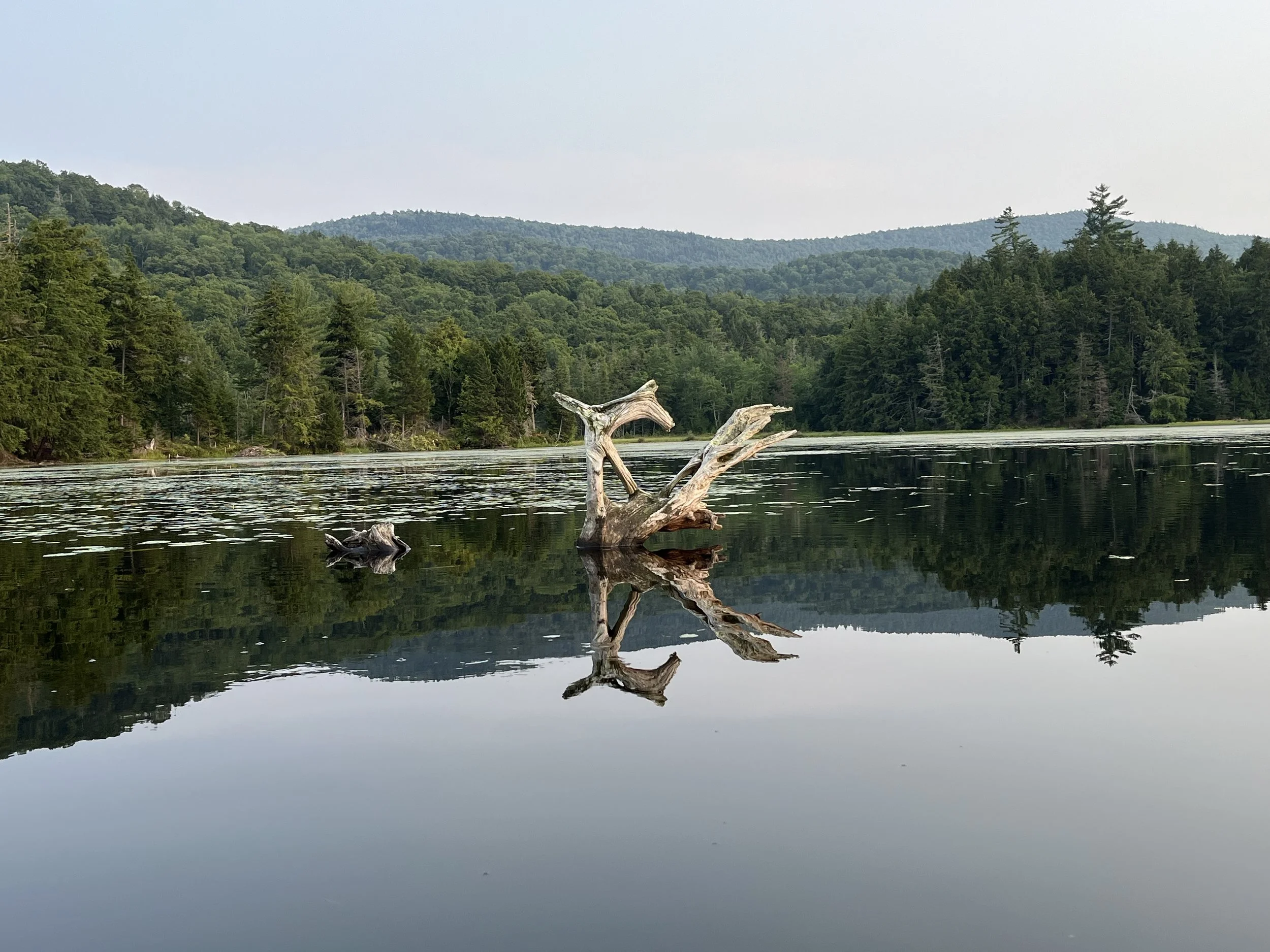 Morning Meditation Sit - Calls of Elul 