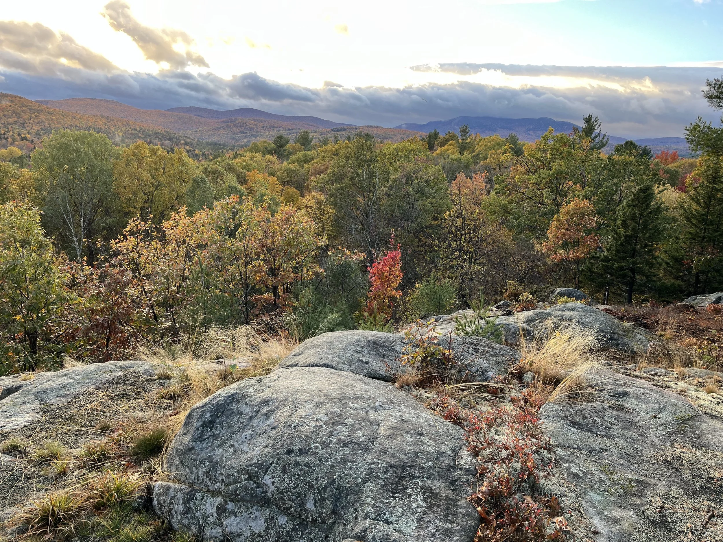 Morning Meditation Sit: Sukkot 