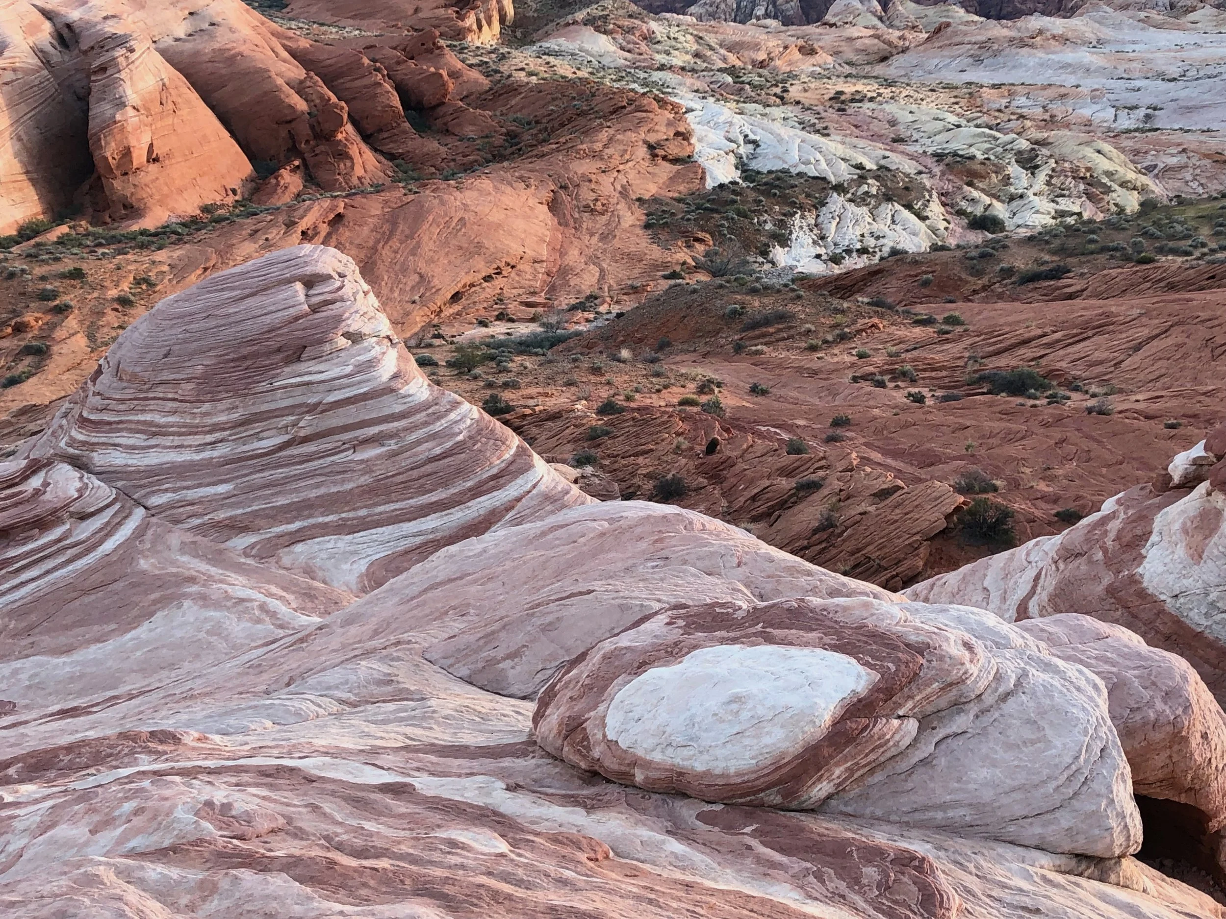 Morning Meditation Sit 