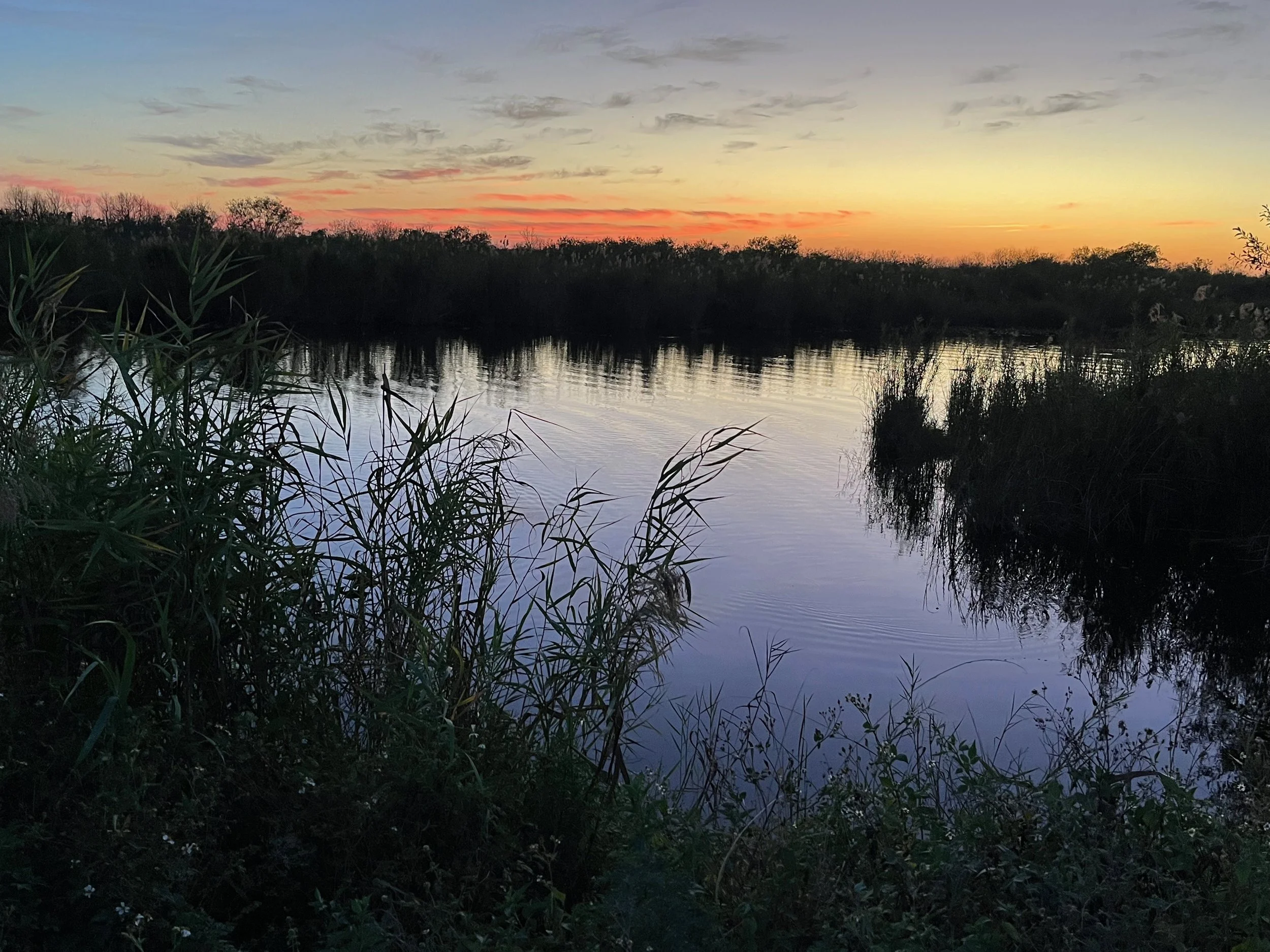 Morning Meditation Sit 