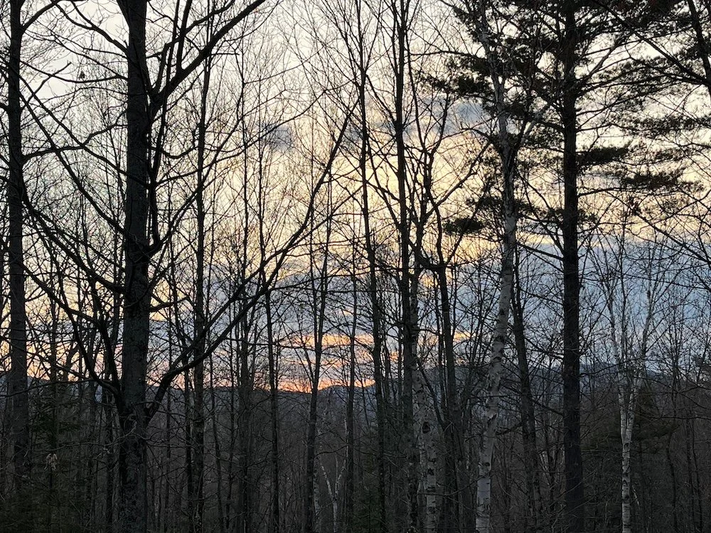 Morning Meditation Sit 