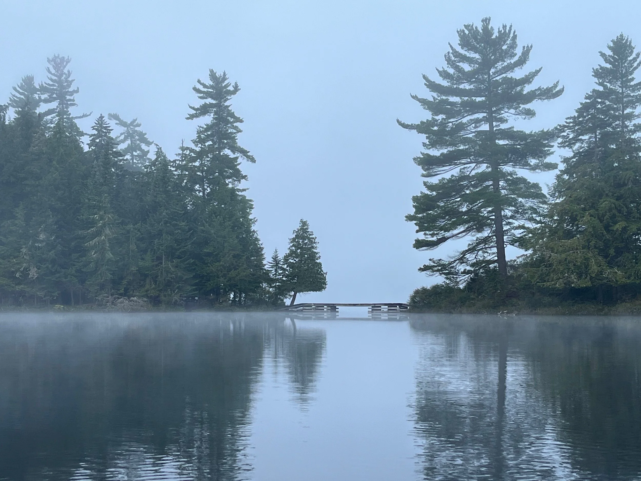Morning Meditation Sit  