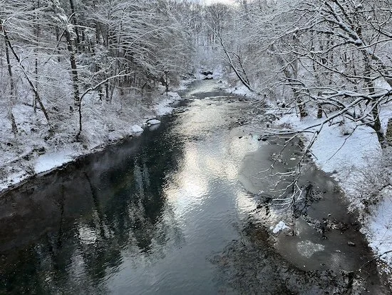 Morning Meditation Sit    