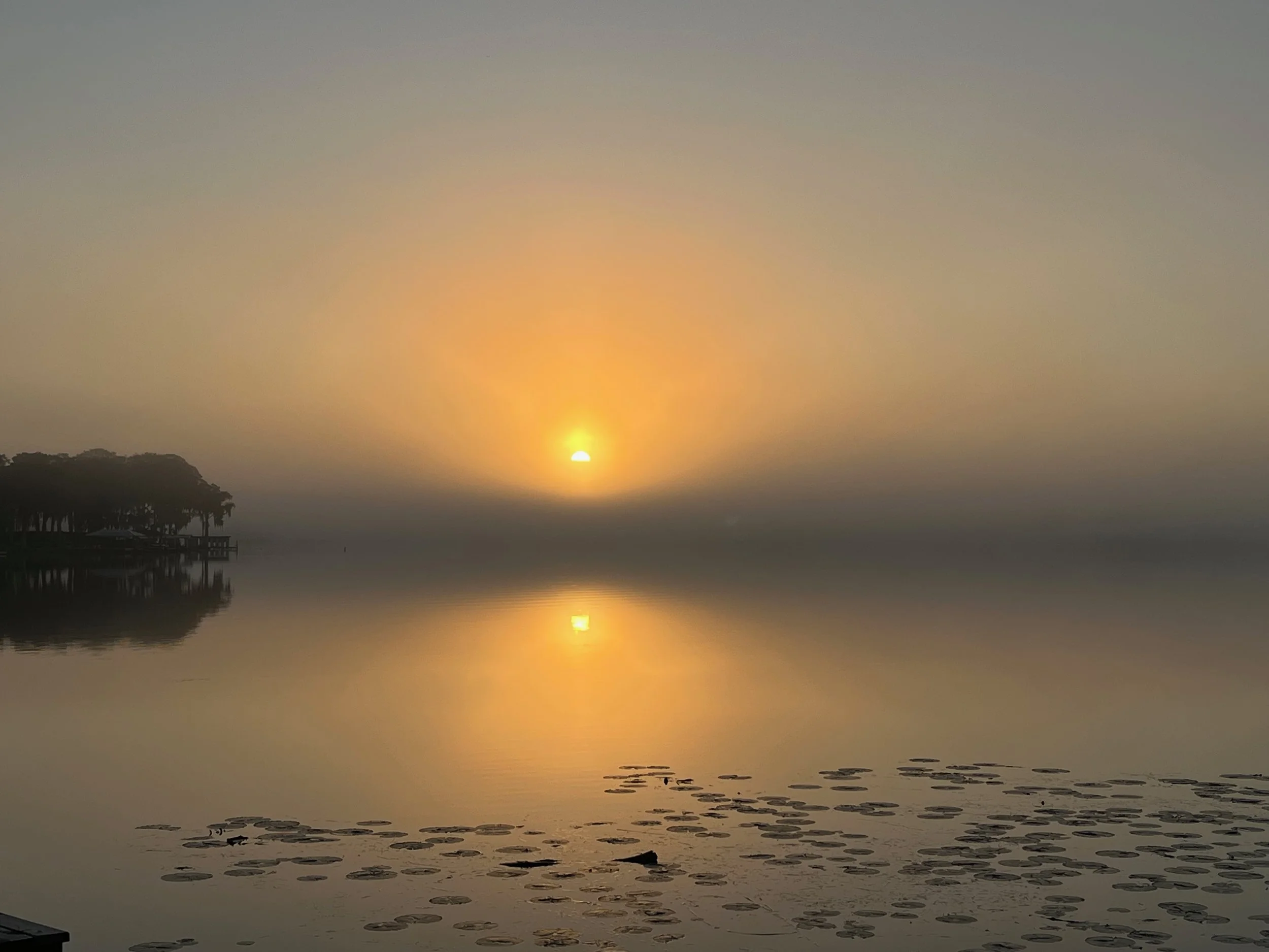 Morning Meditation Sit   