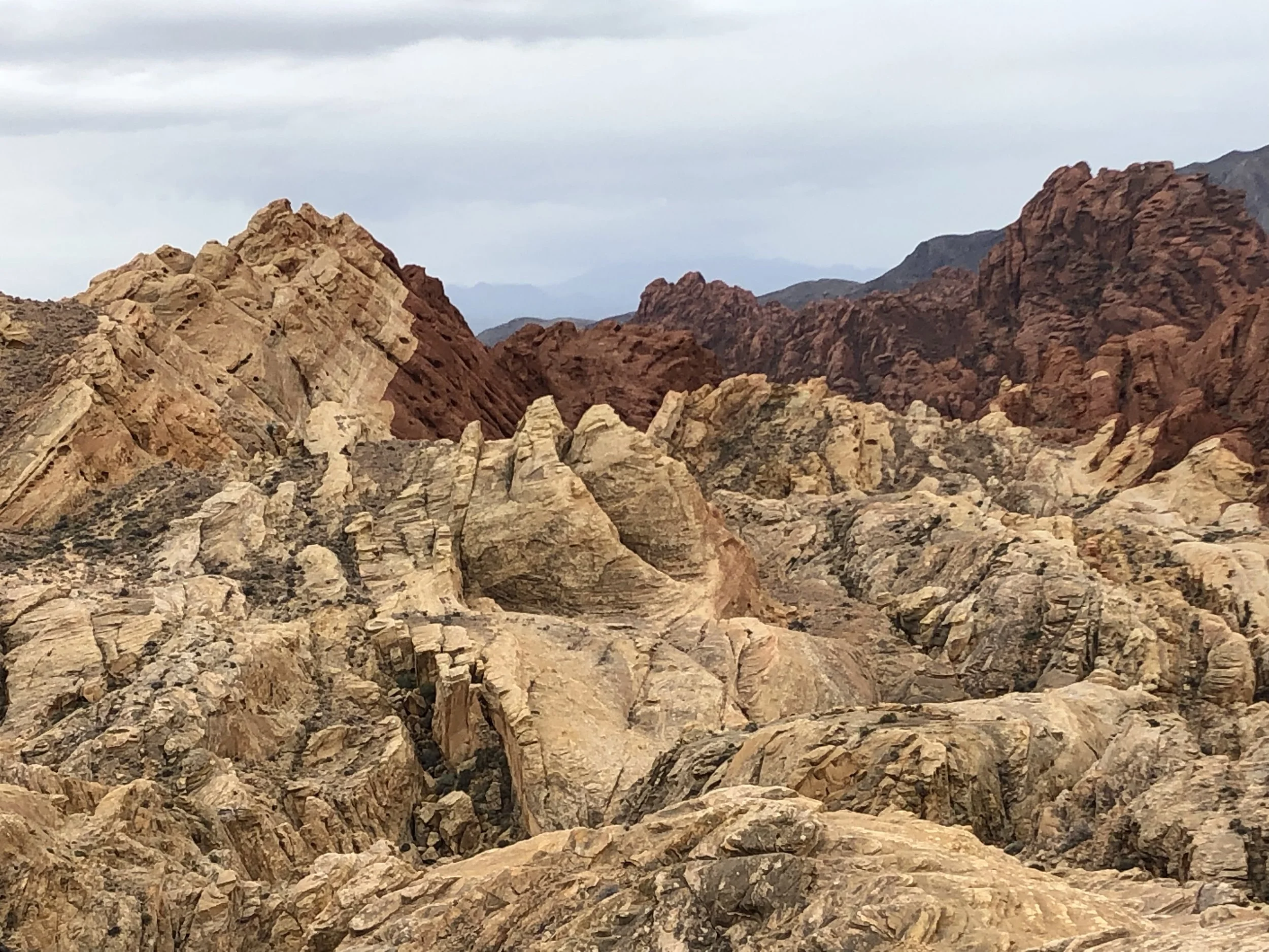 Morning Meditation Sit  