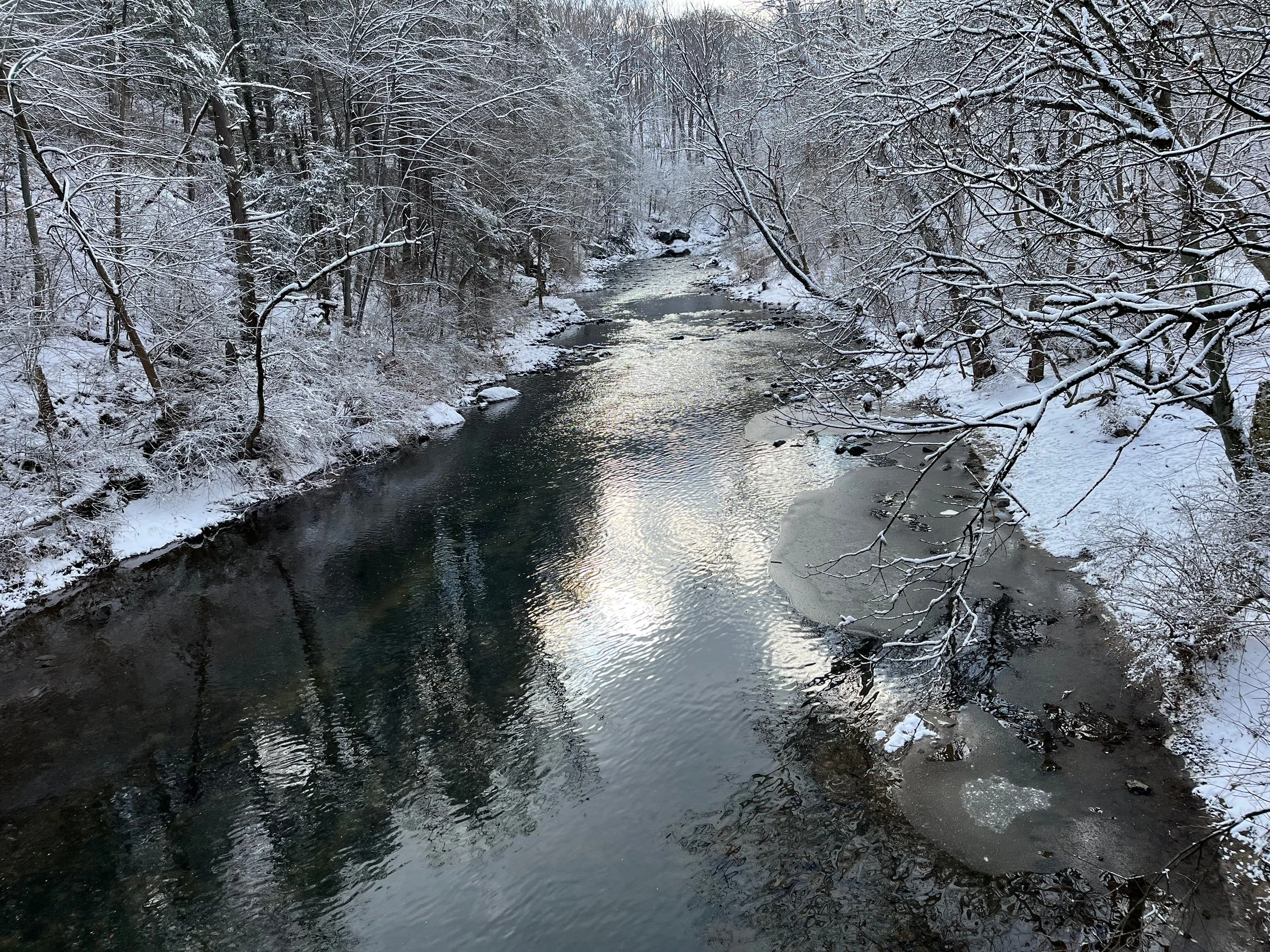 beshallach 5786.jpeg