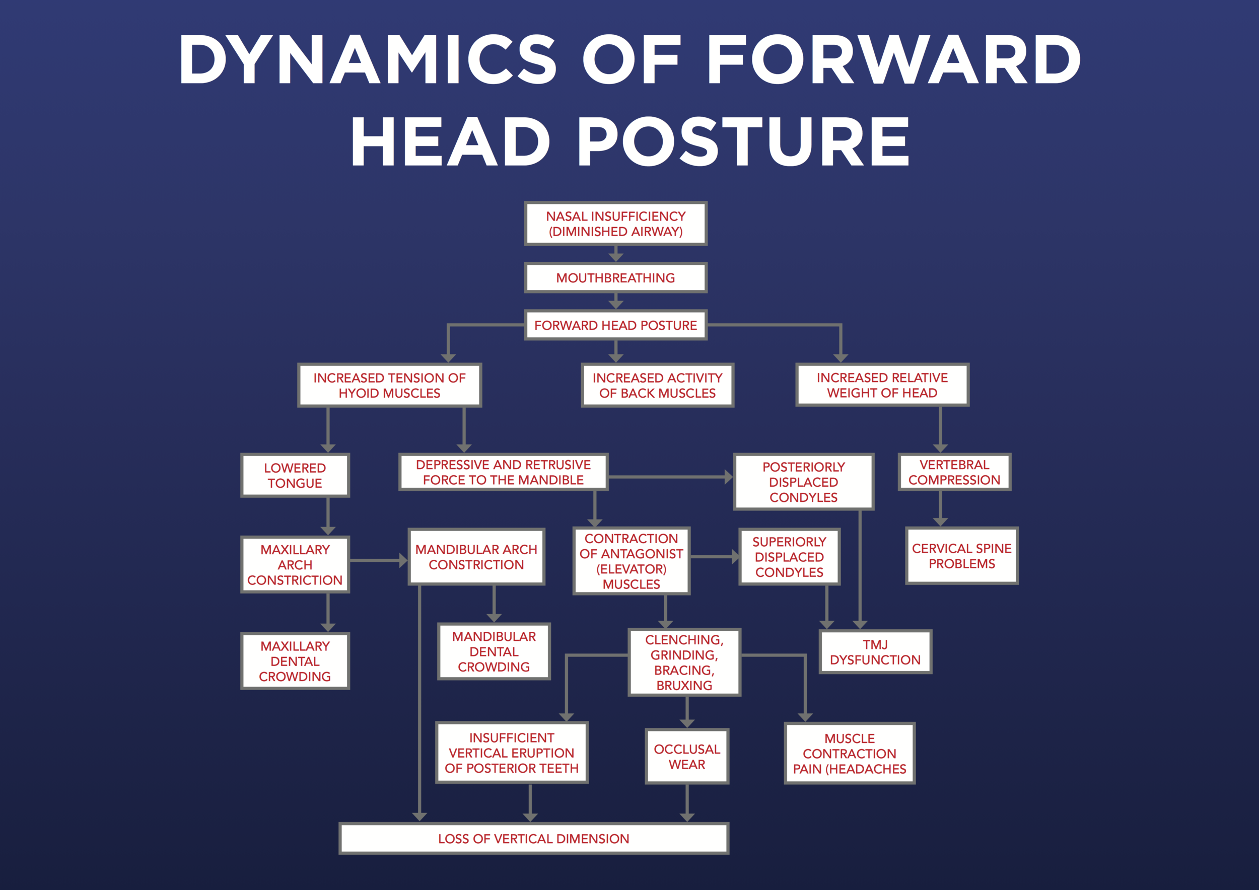 One of Kevin Bourke's original lecture slides - click to enlarge