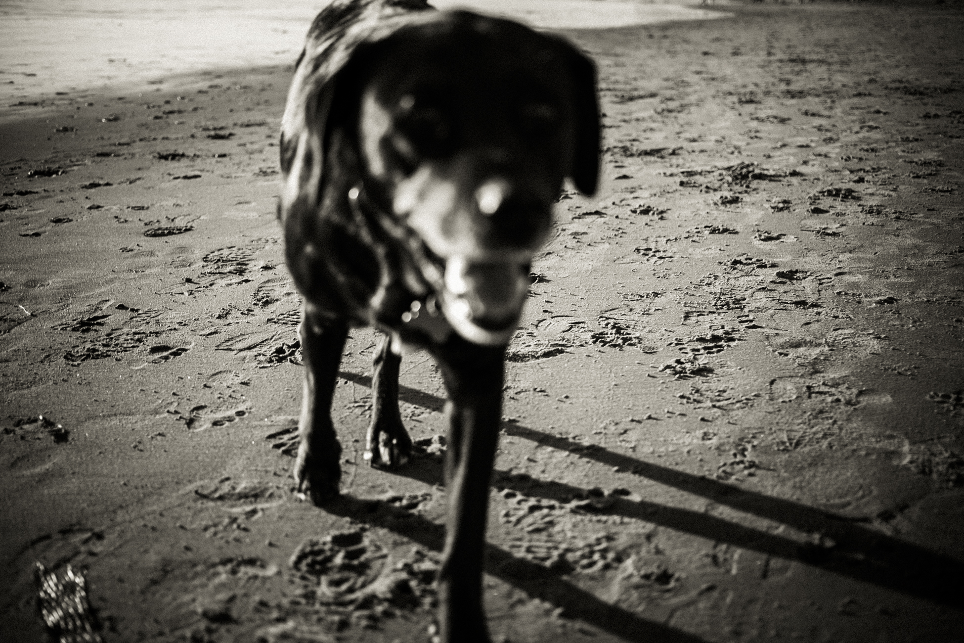 2014_01_05_Kristin-3843.jpg