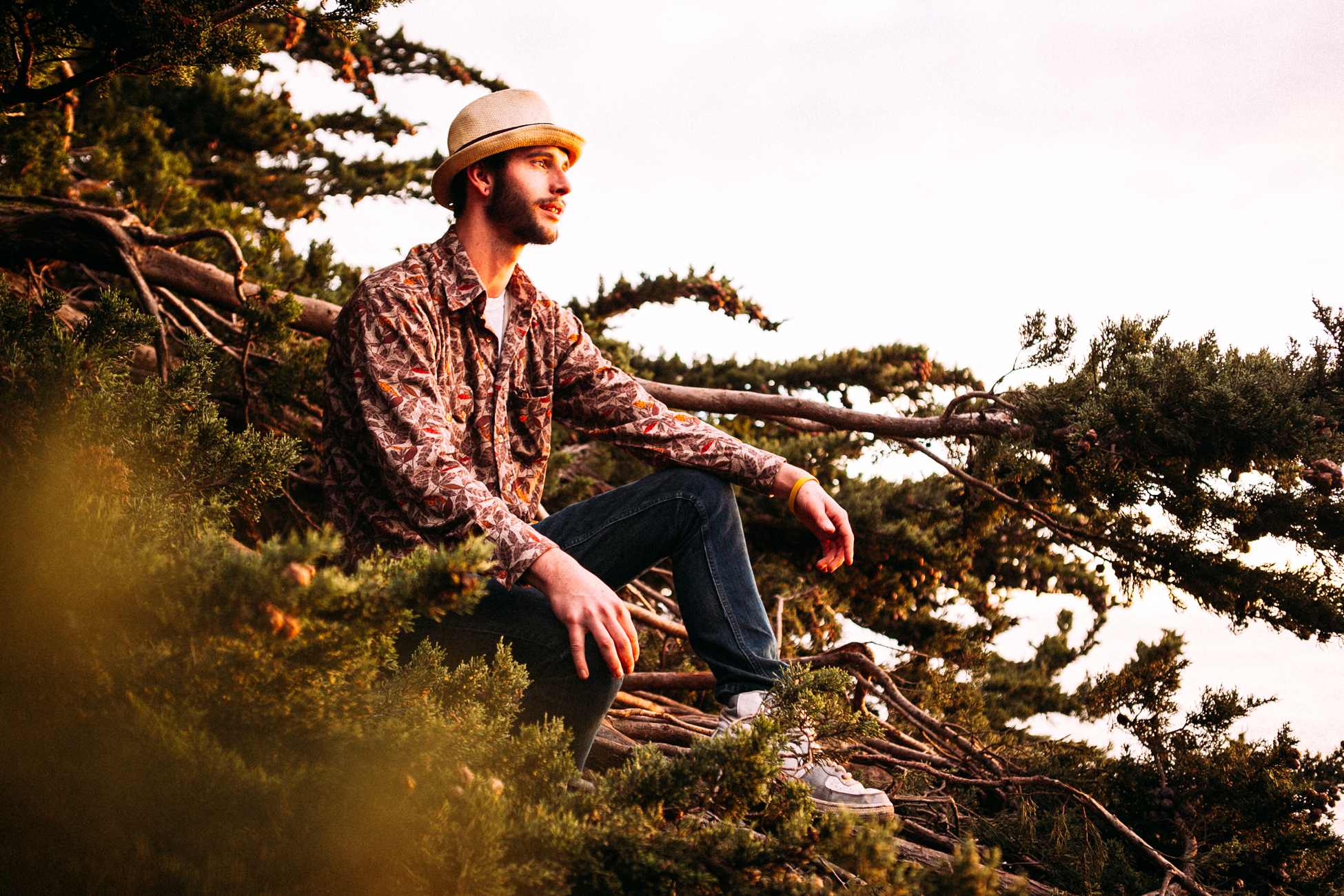 2015_01_08_Carmel_MG_5583.jpg