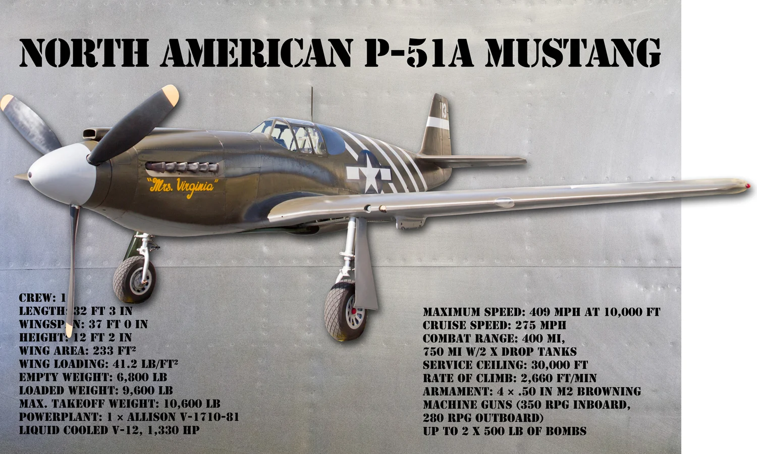 p51a.jpg