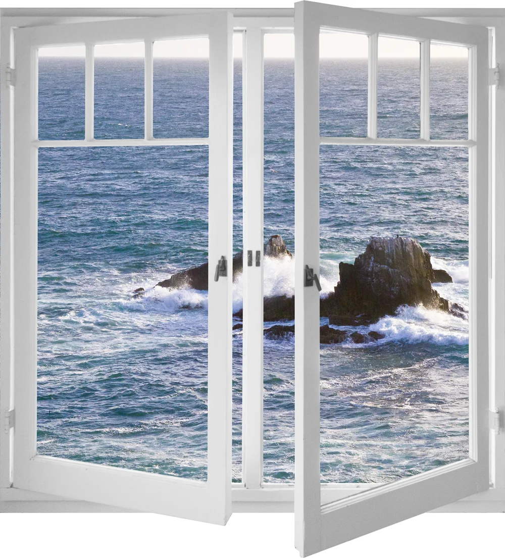 Seal Rock View