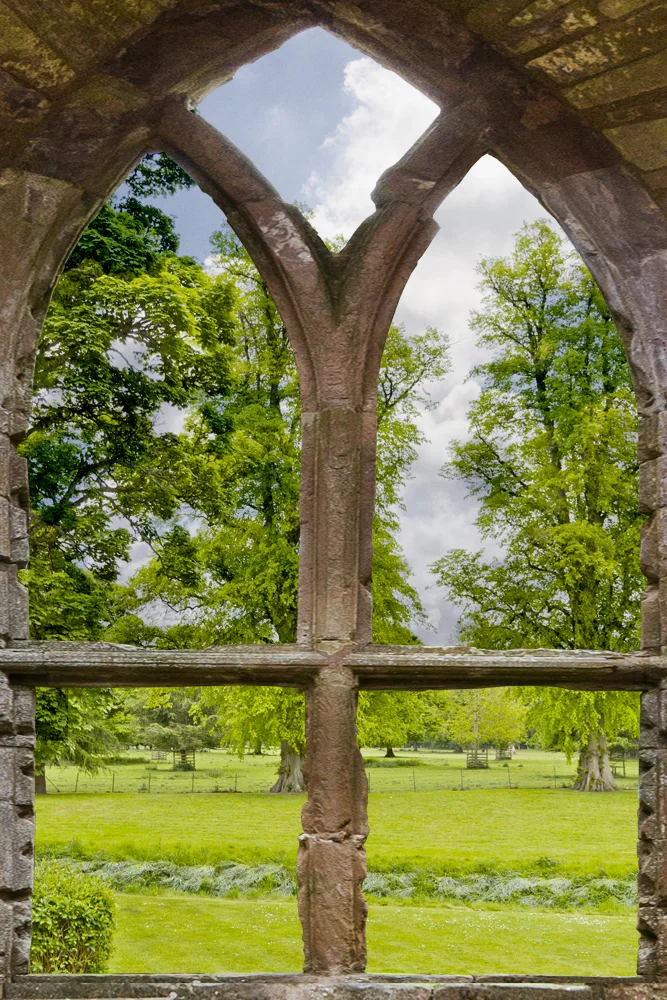 Dryburgh Abbey Forest View