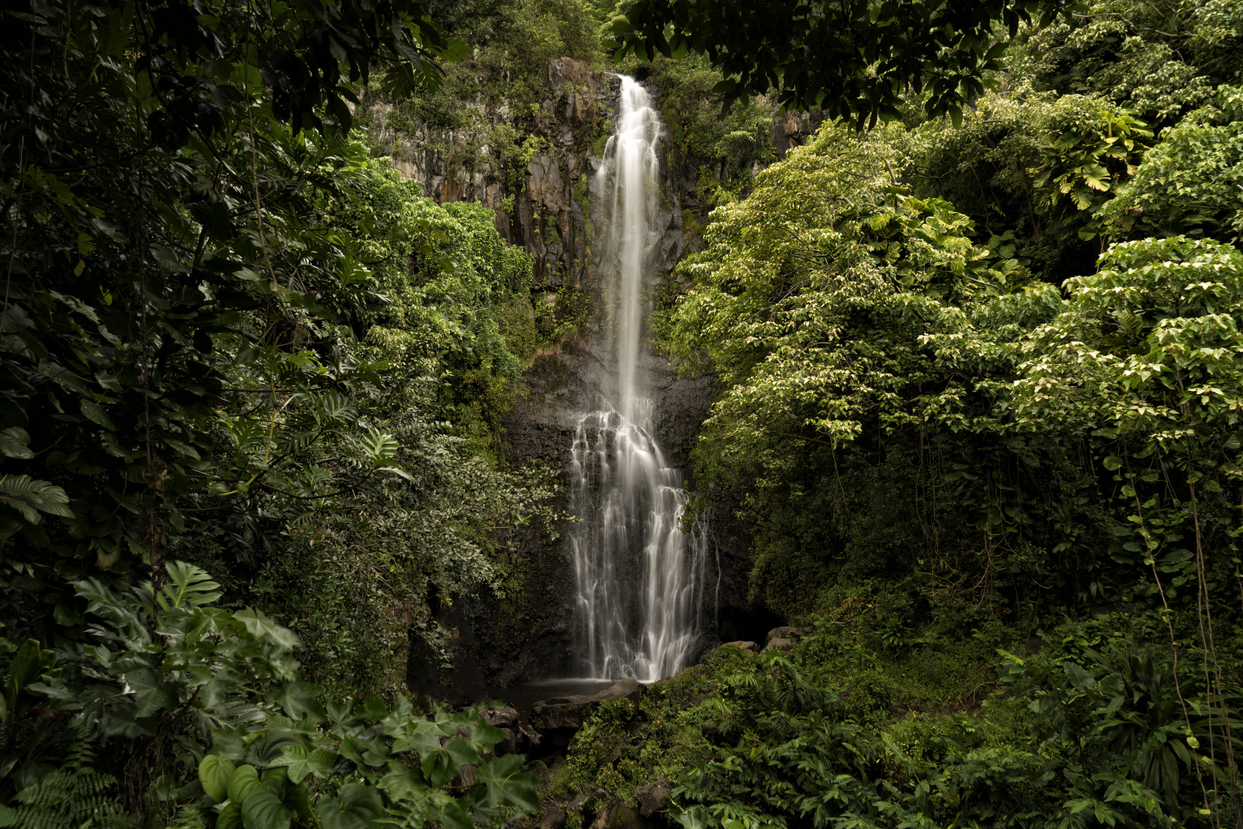 Maui Waterfall