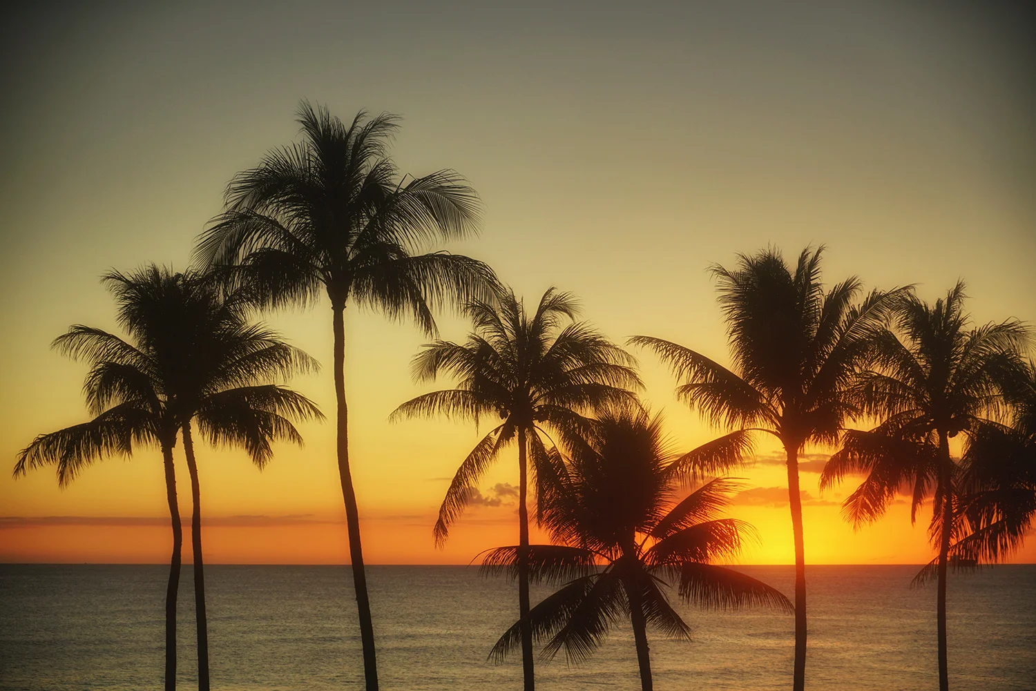 DSC04890small 1500.jpg