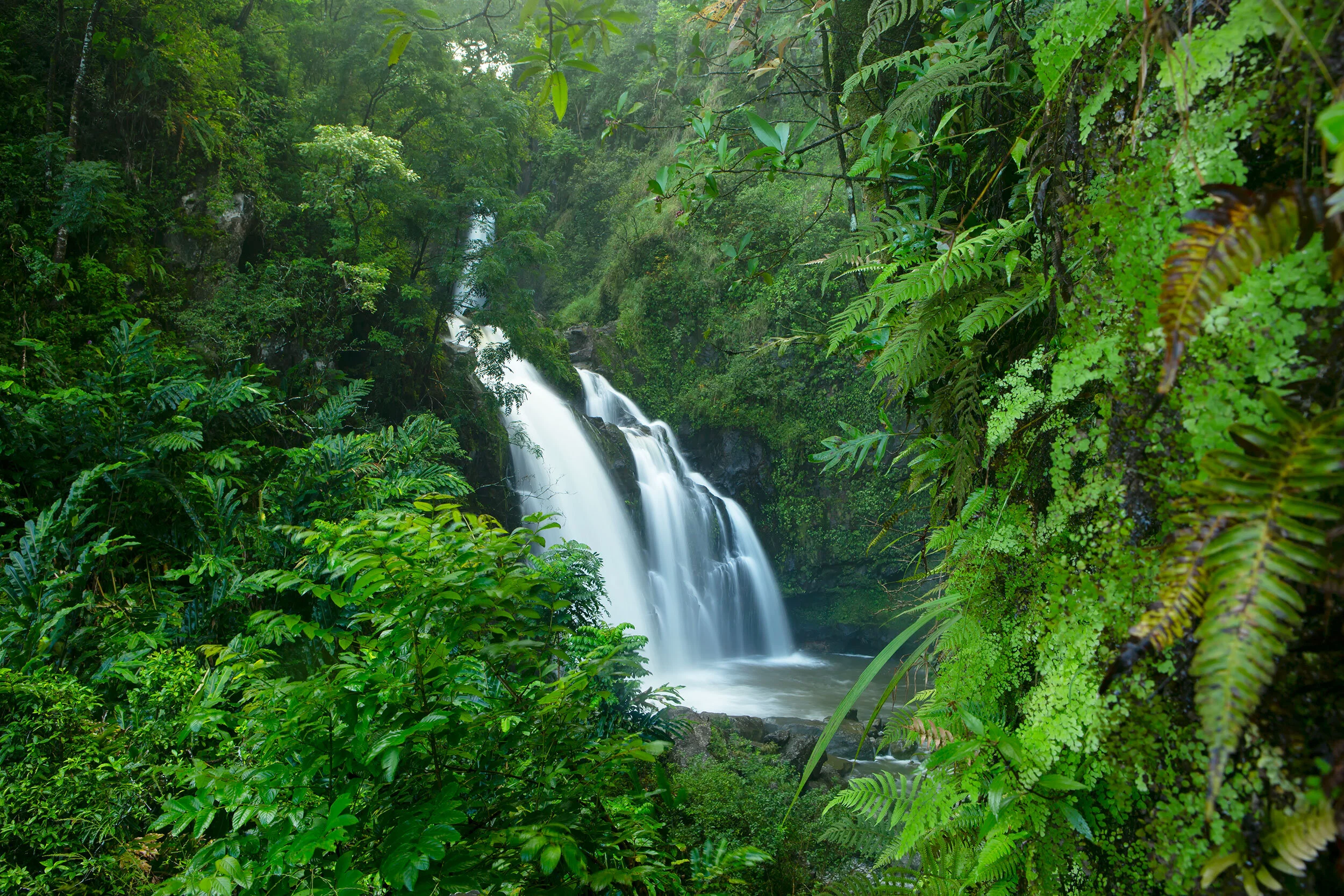 Waterfall_V2__85A0057.jpg